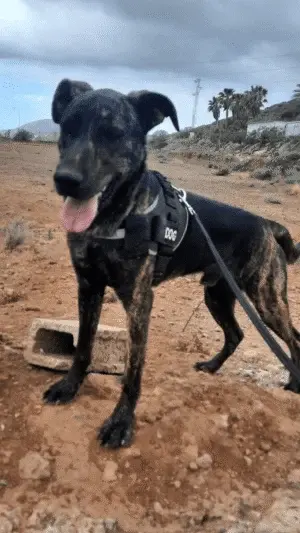 Sam