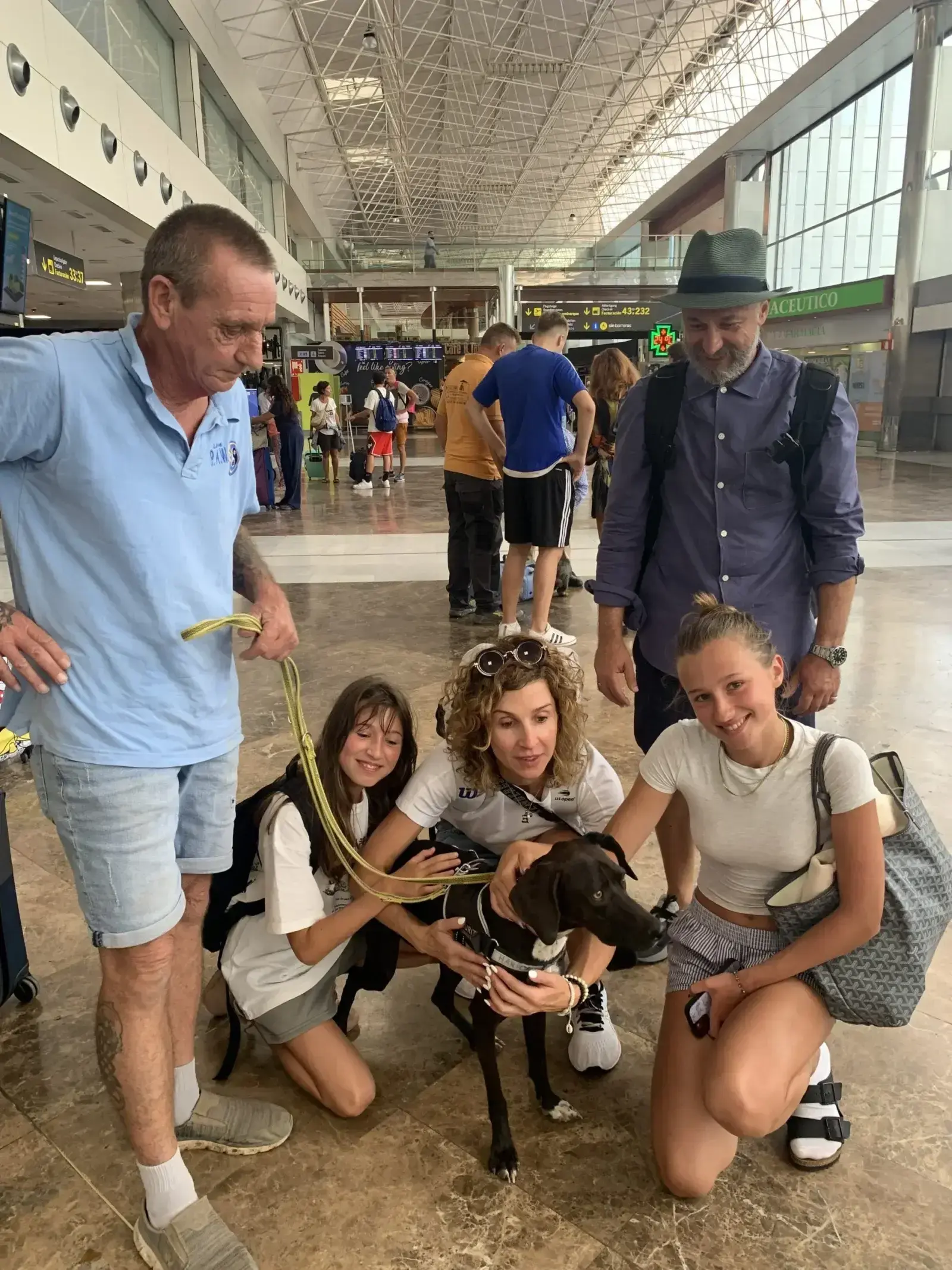 Harry arrives safely in Munich