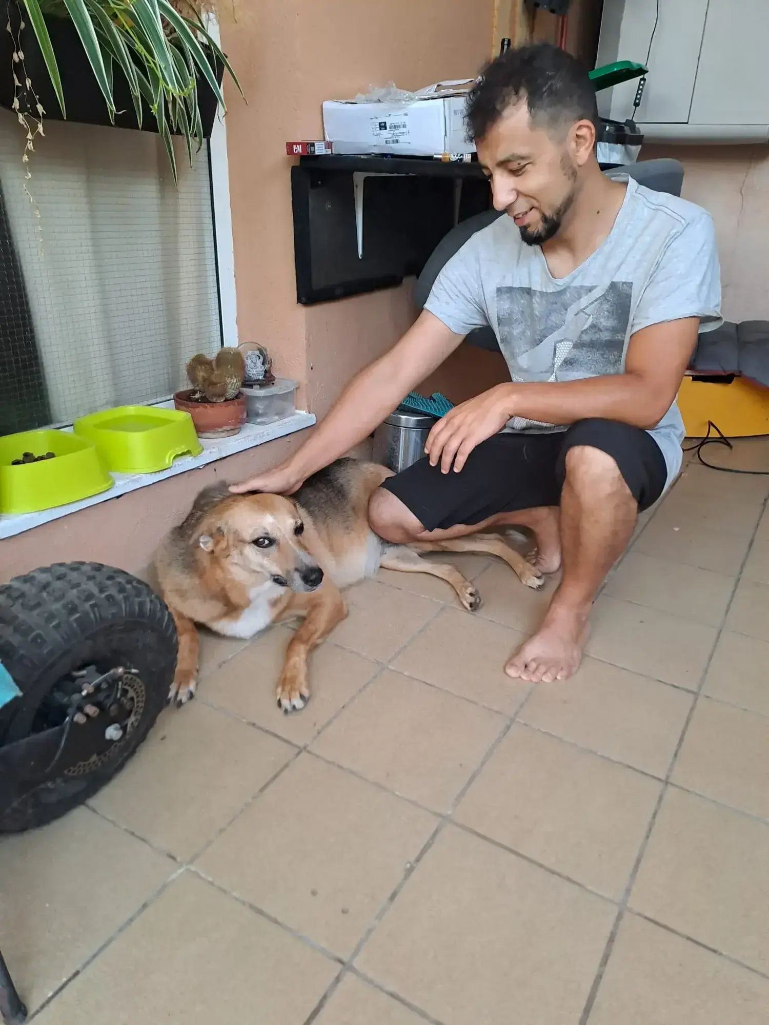 Daphne has a forever home.