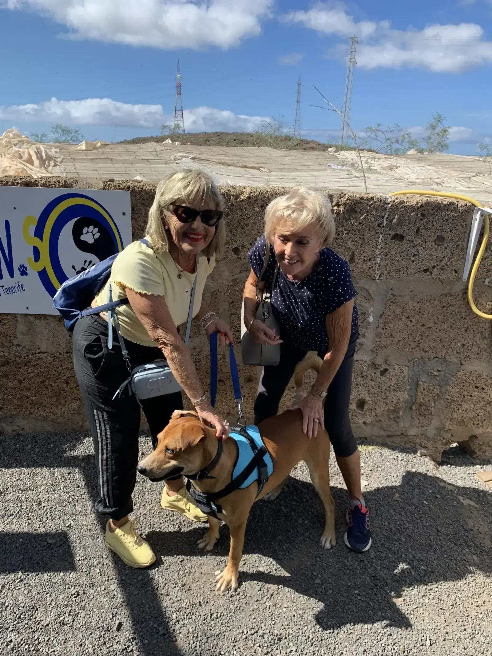 Odin adopted.