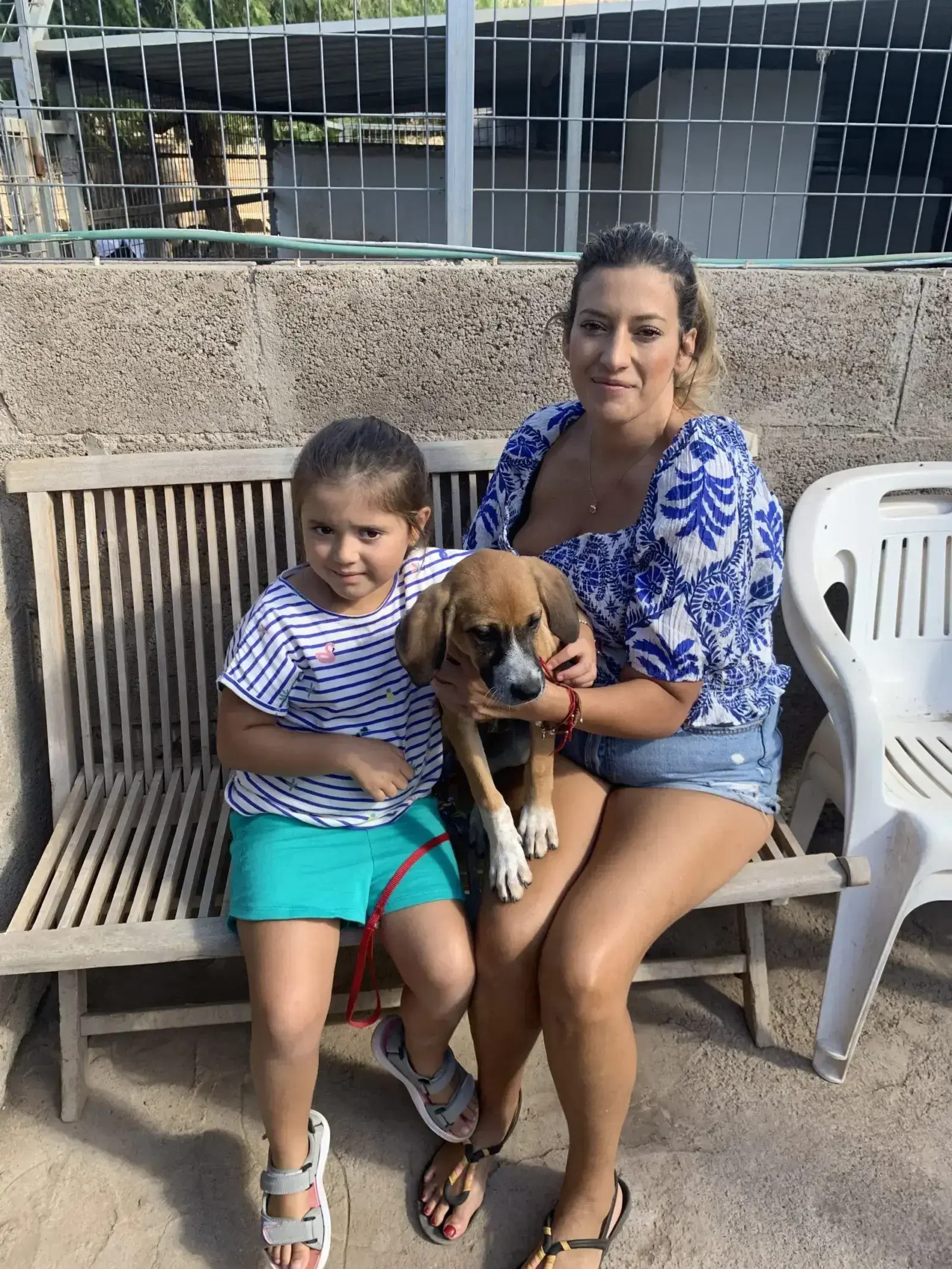 Bimba adopted.