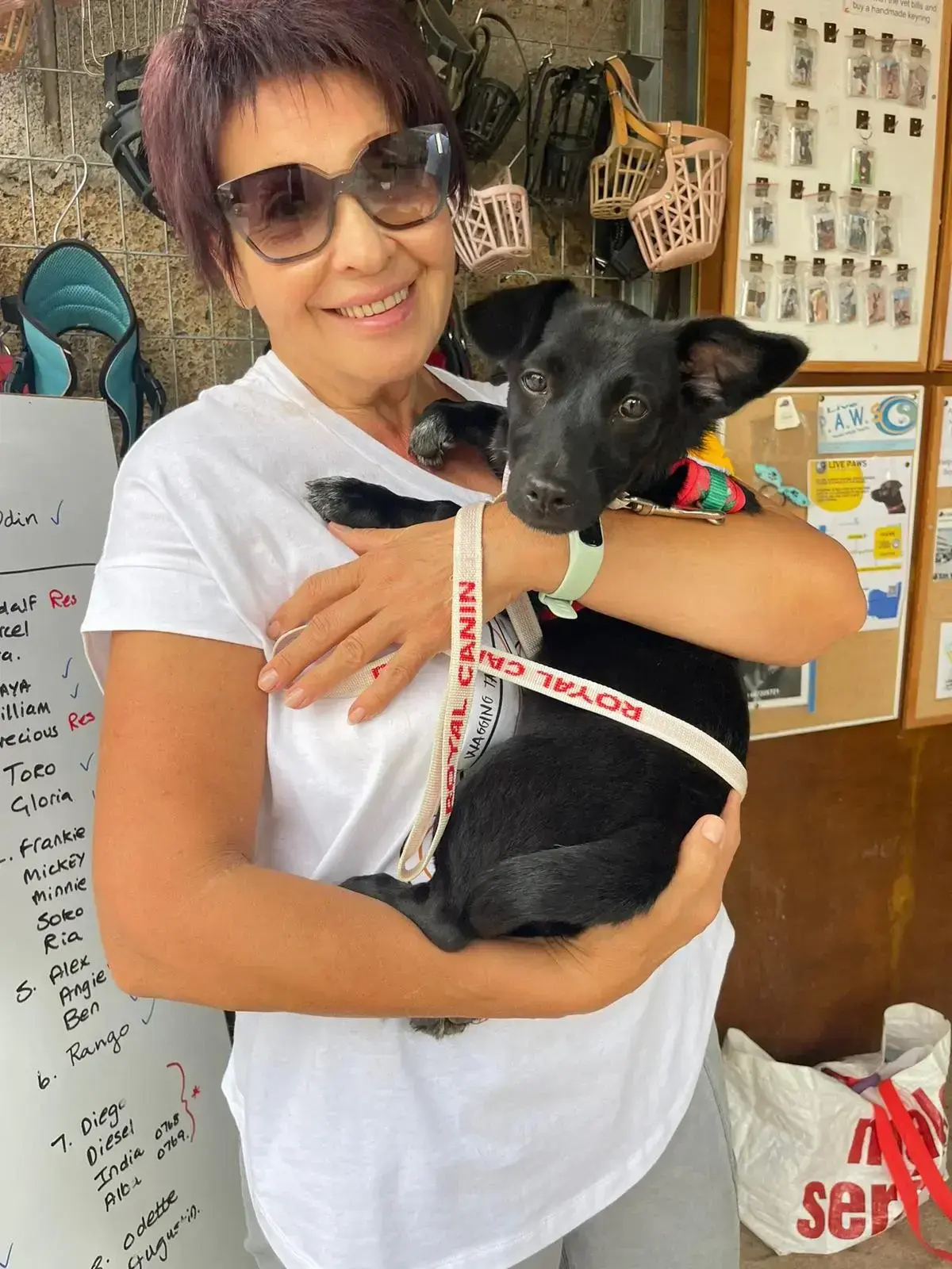 Pearl adopted.