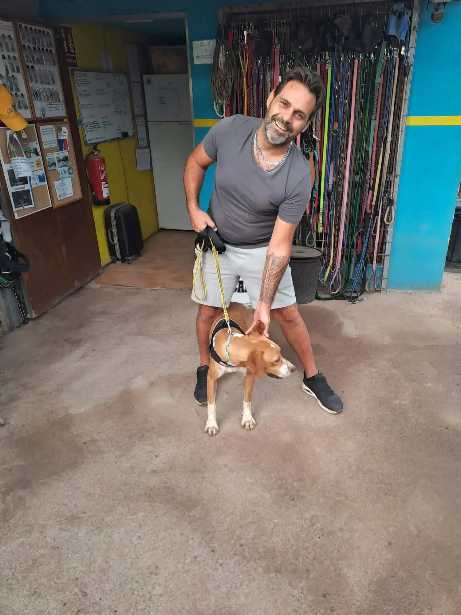 Diesel Adopted