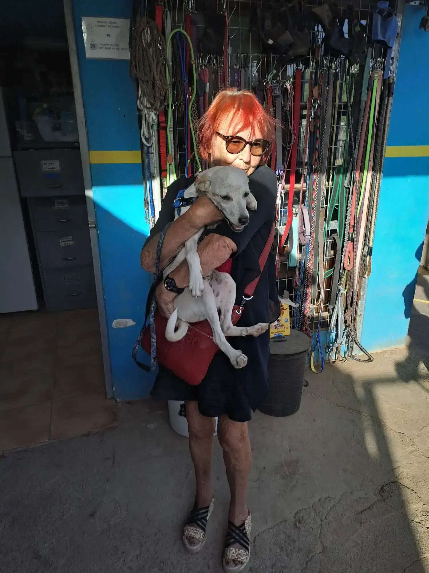 Shiro adopted