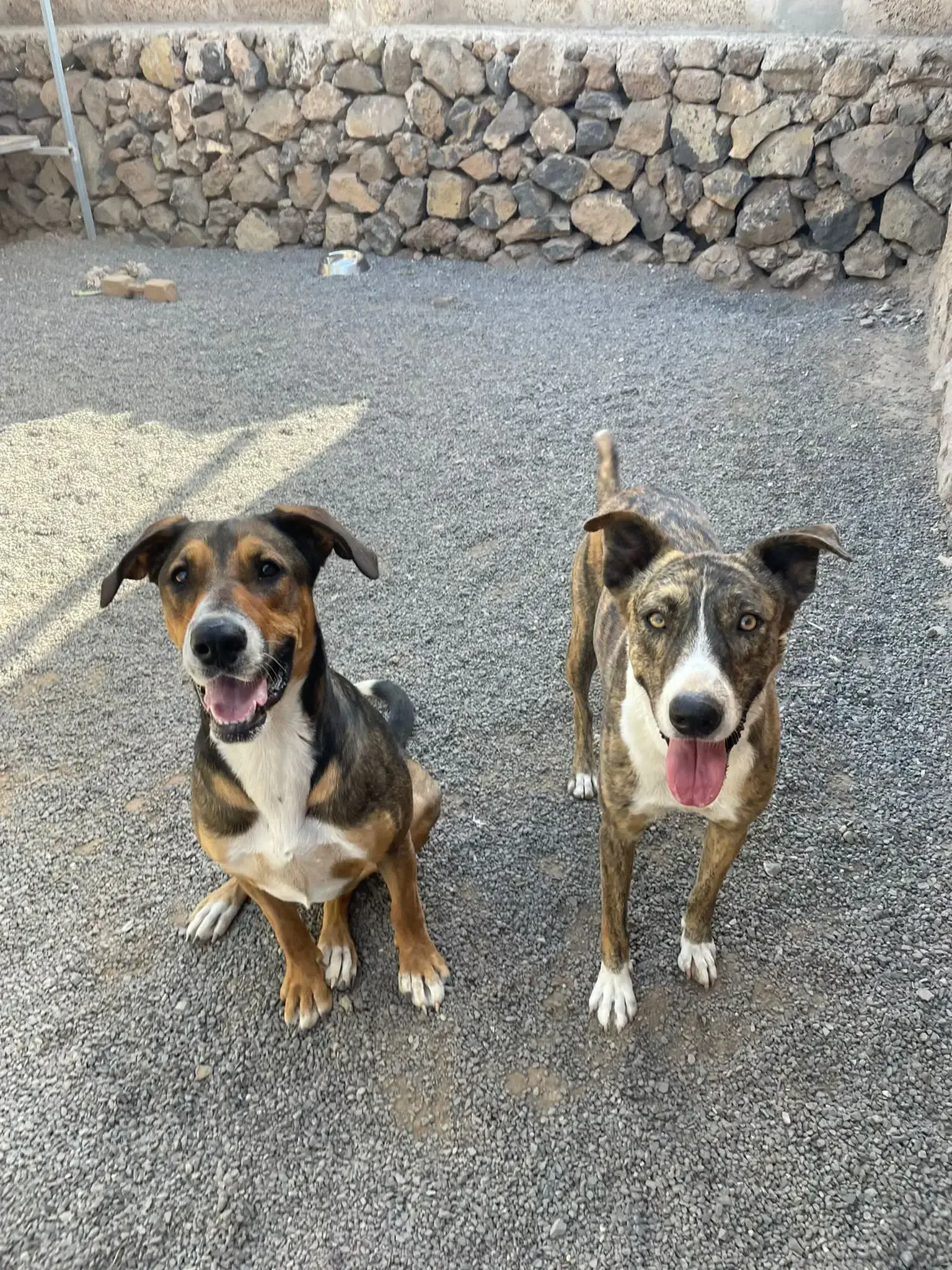 Odette and Augustin