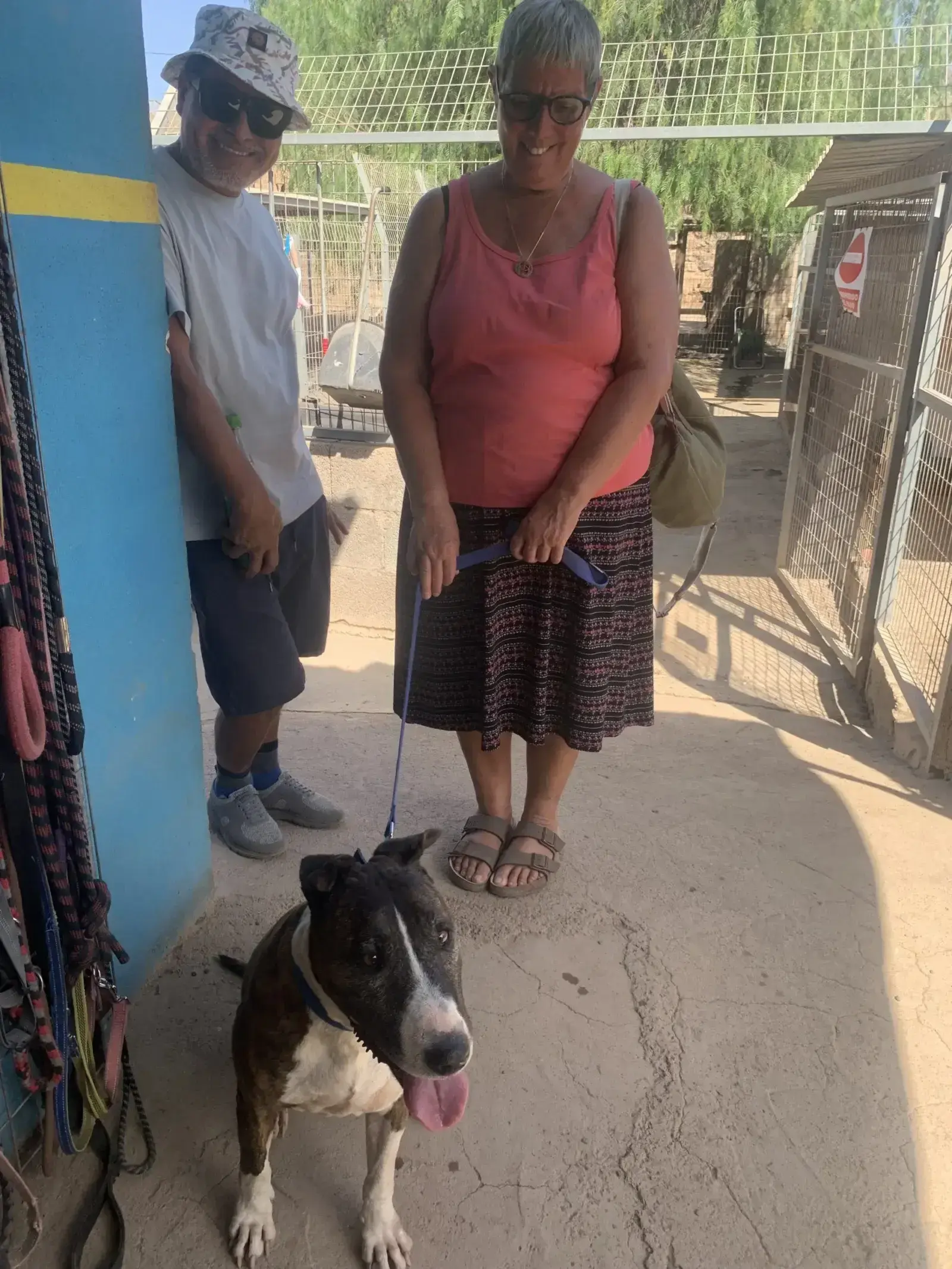 Jenny adopted