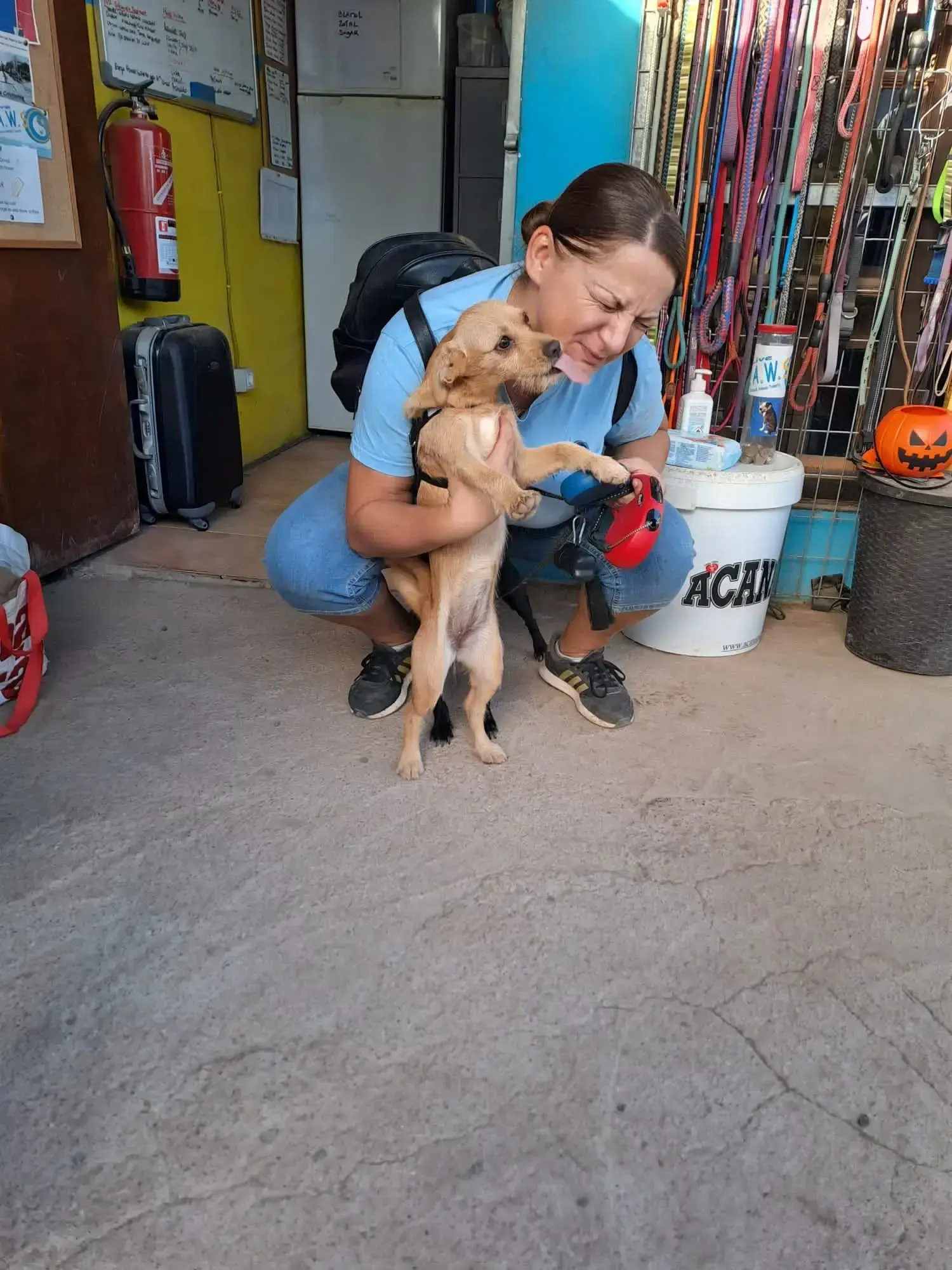 Cherry adopted.