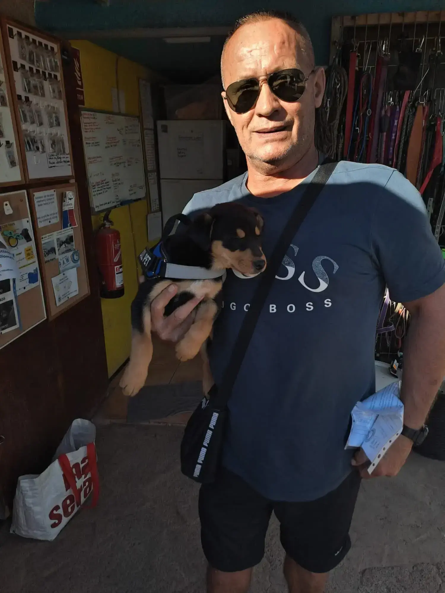 Puppy of to a new Island.
