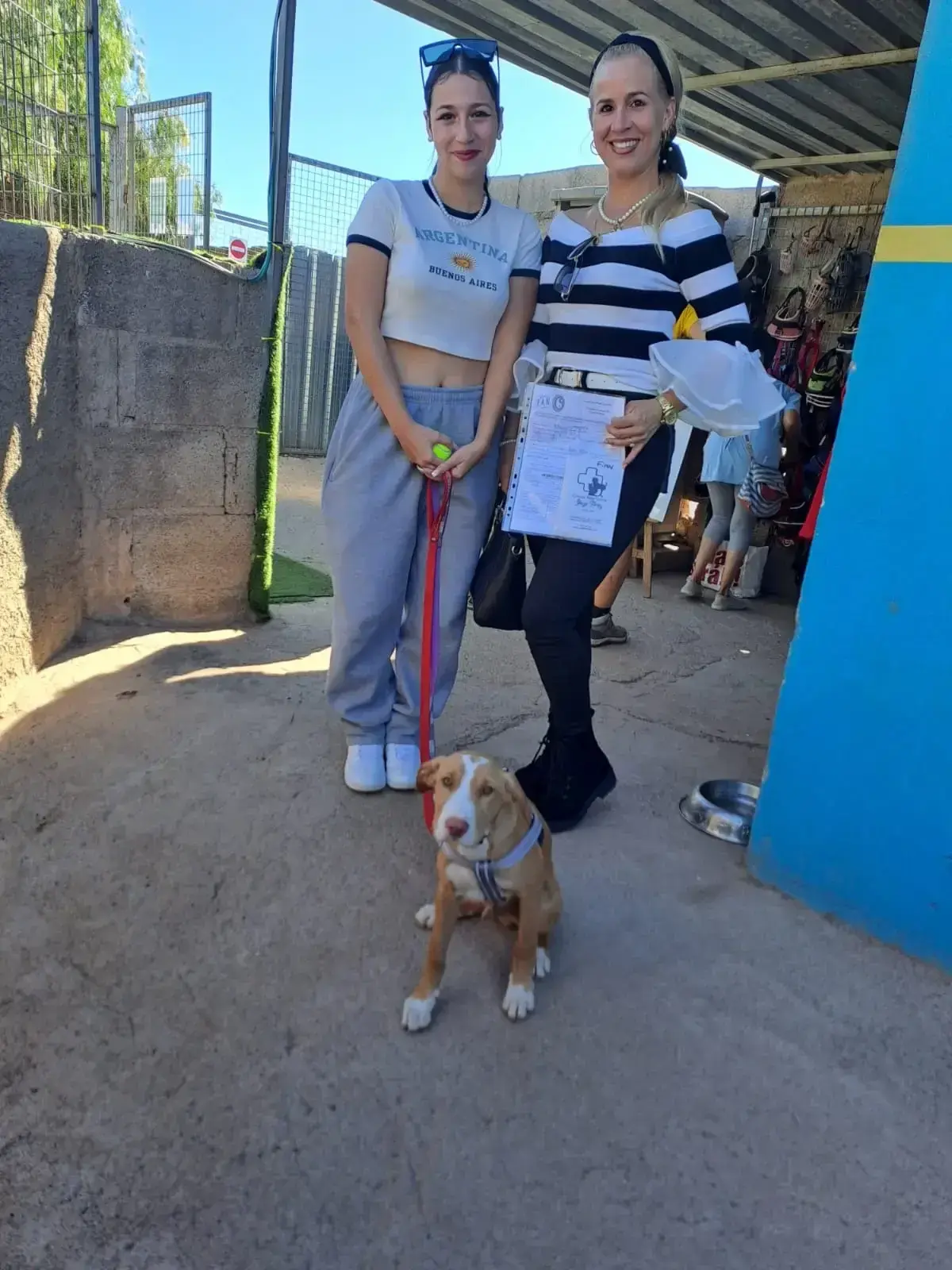 Finn adopted .