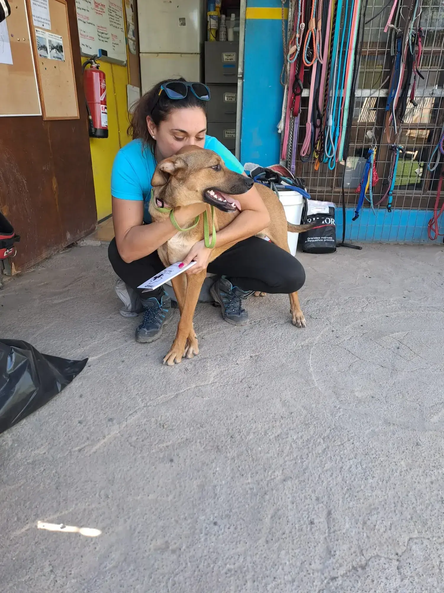 Marley adopted.