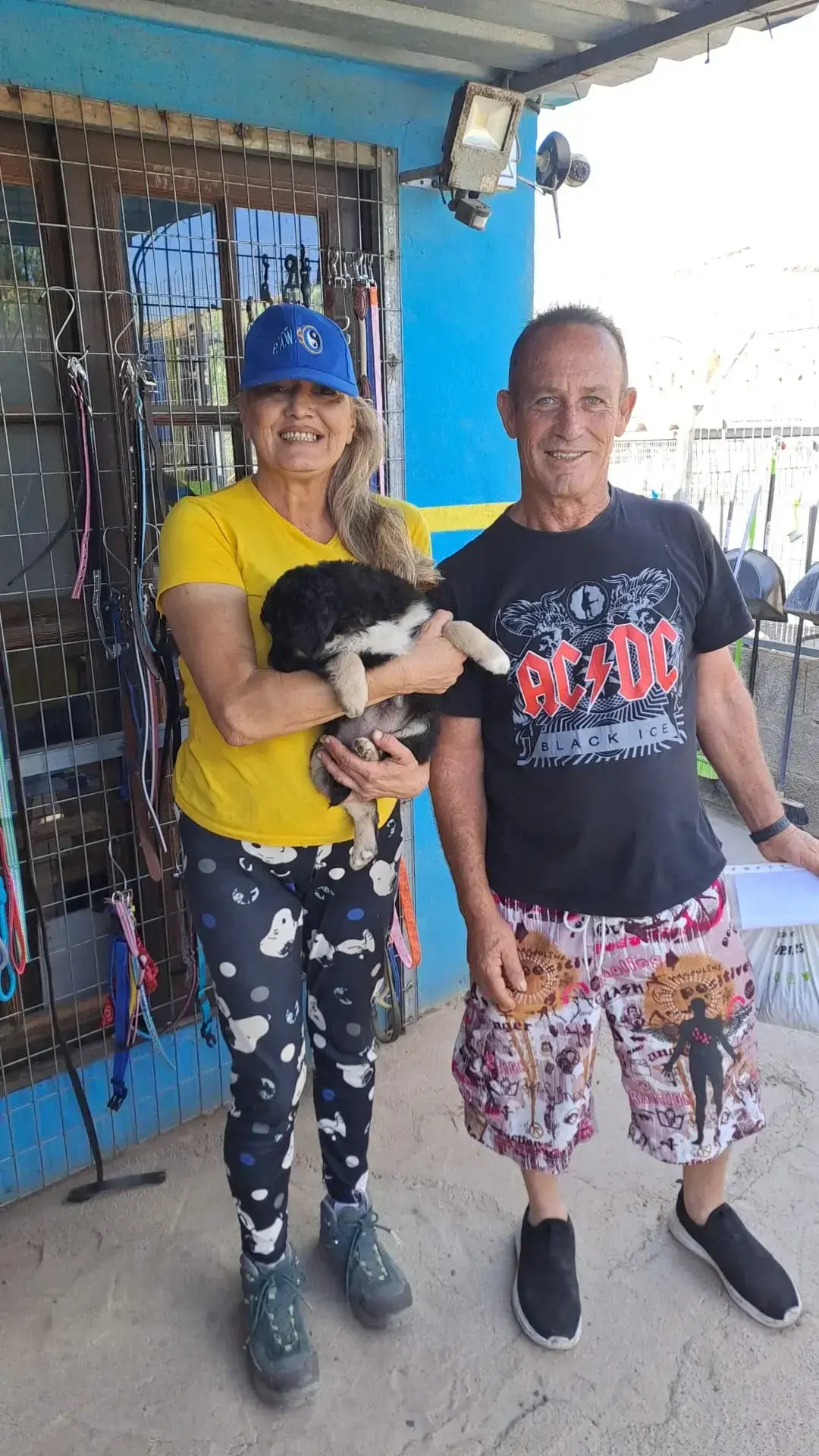 Fluffy Puppies finding new homes.