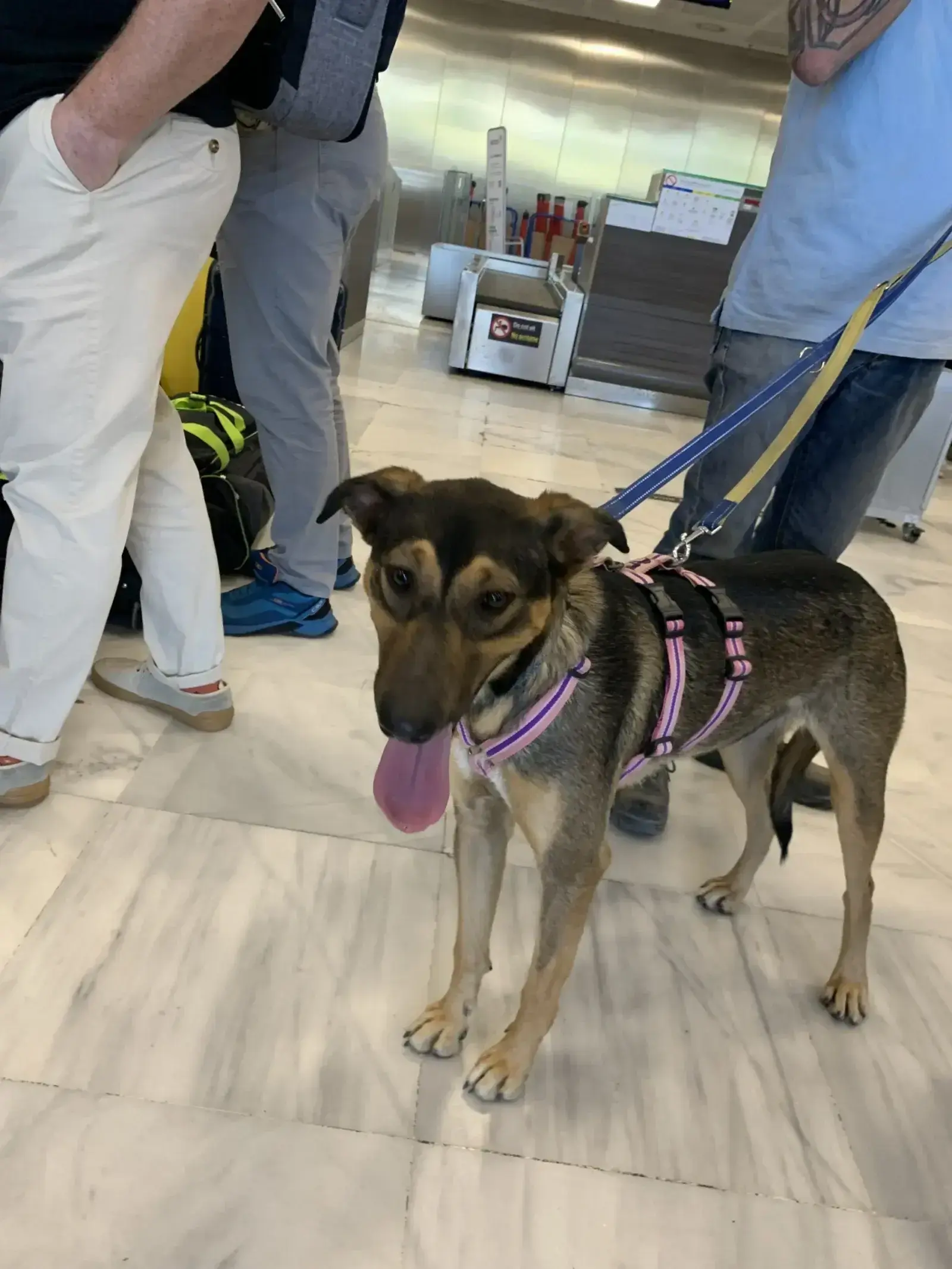Angie, Ben and Alex all adopted.