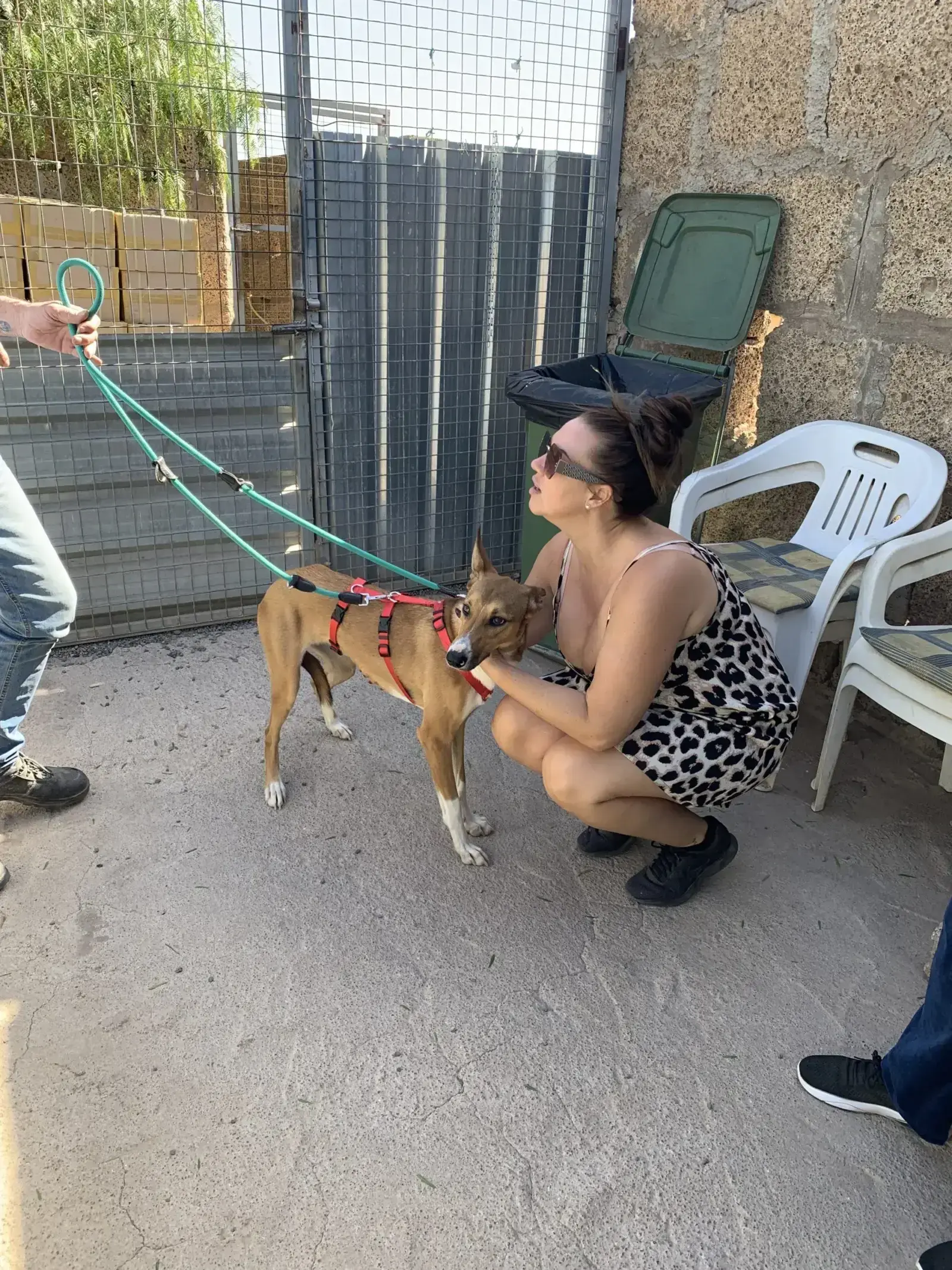 Emily adopted