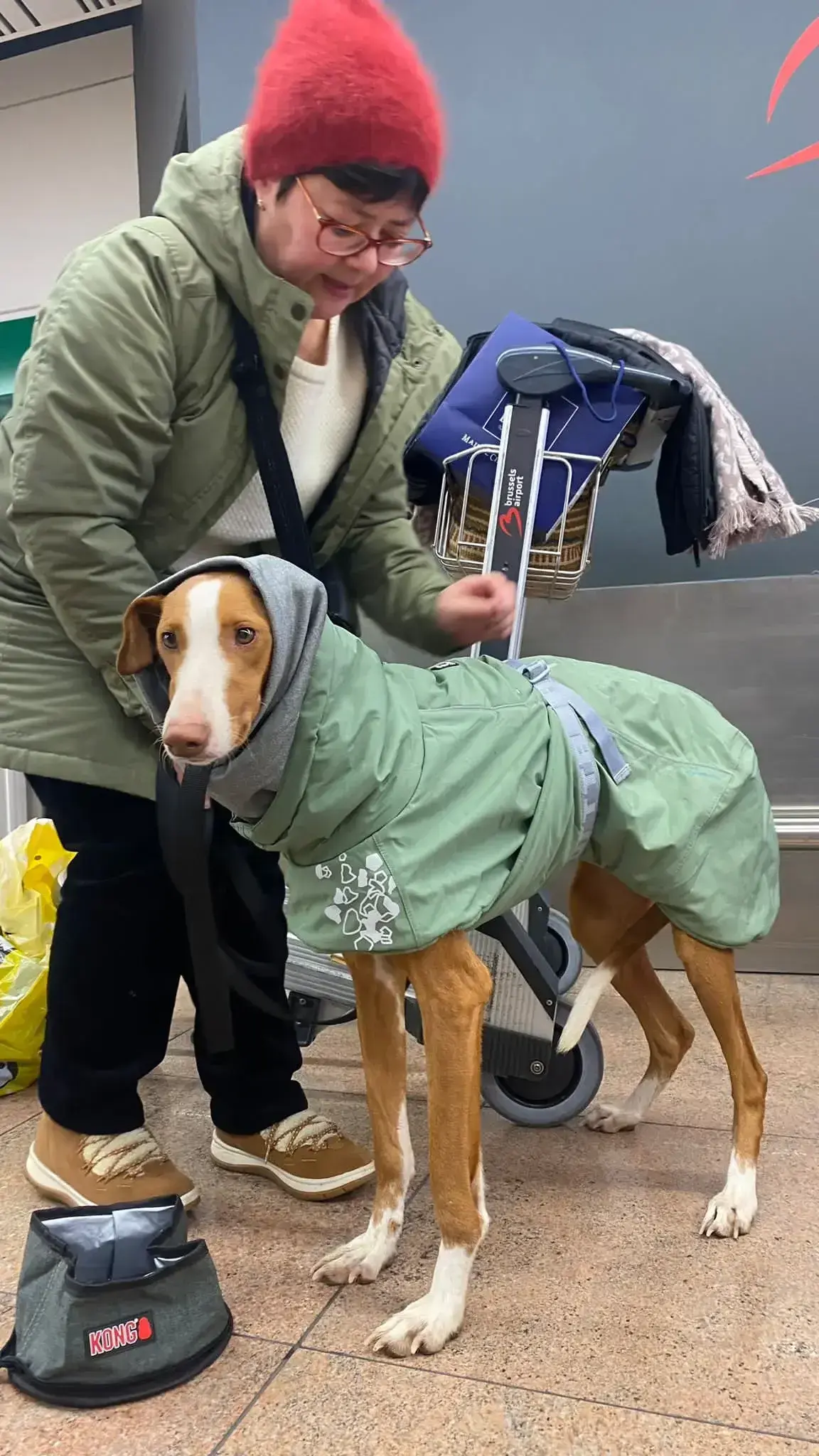 Mariposa arrives safely in Belgium.