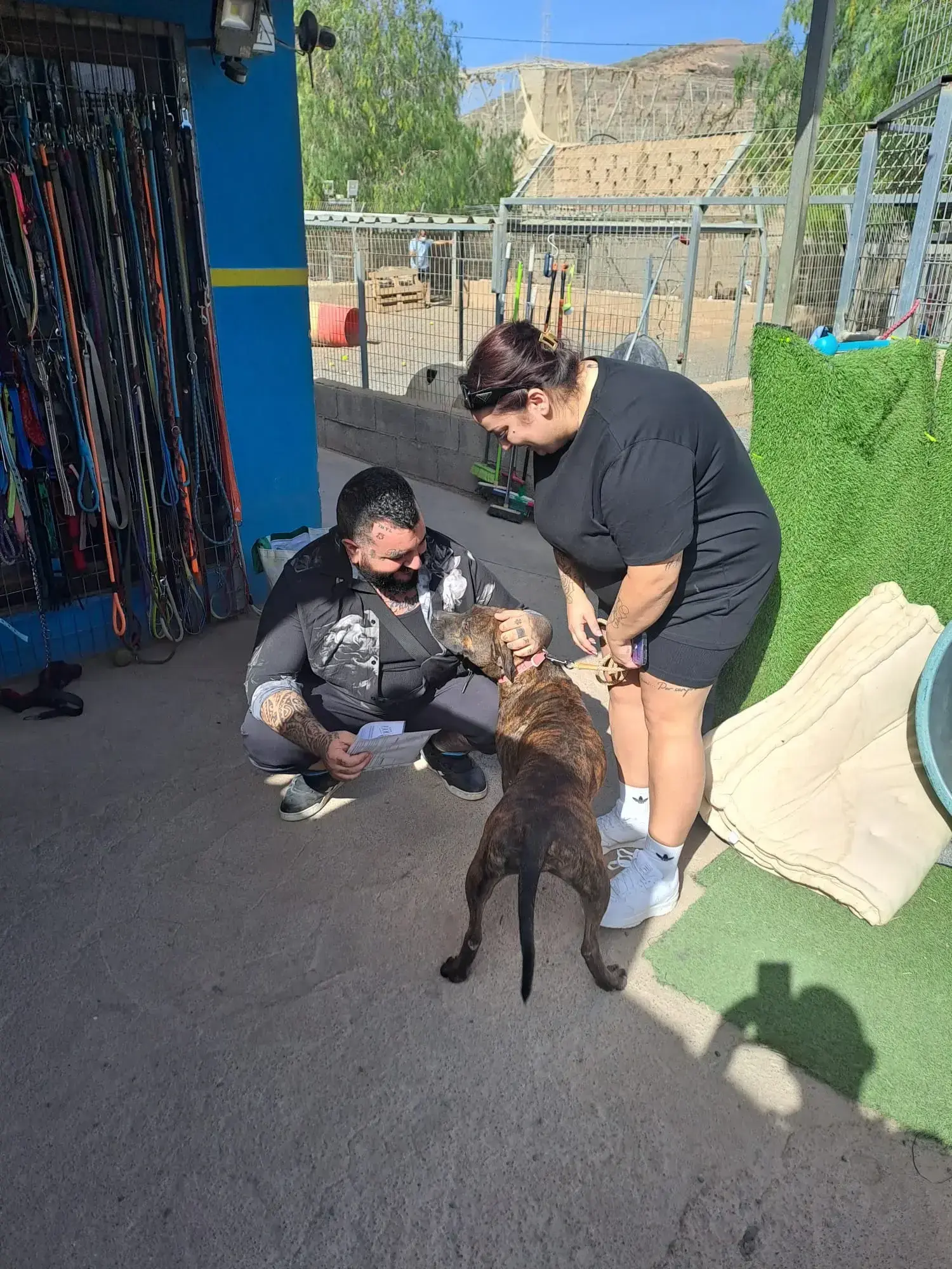 Bonny adopted