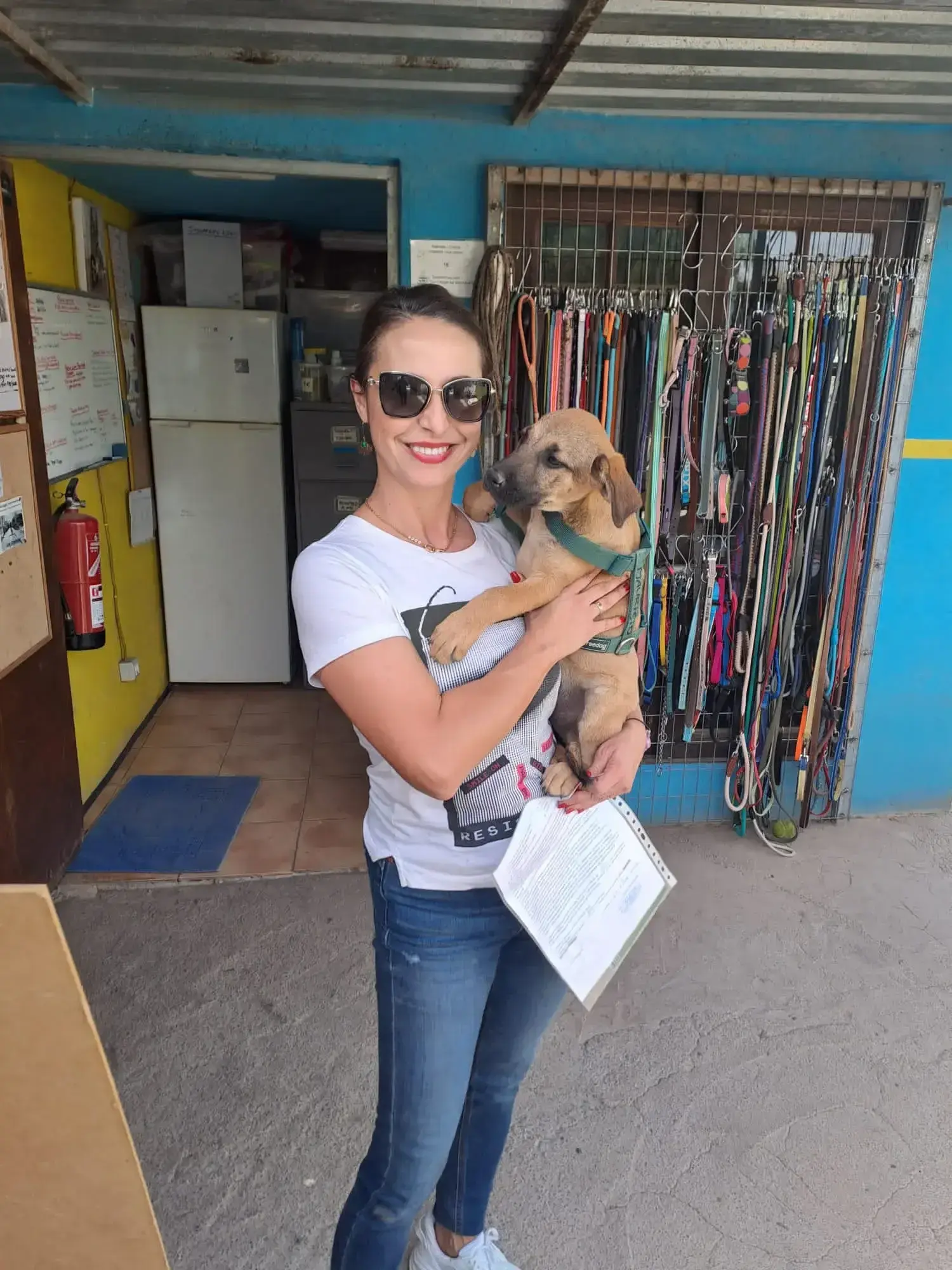 Dory adopted.