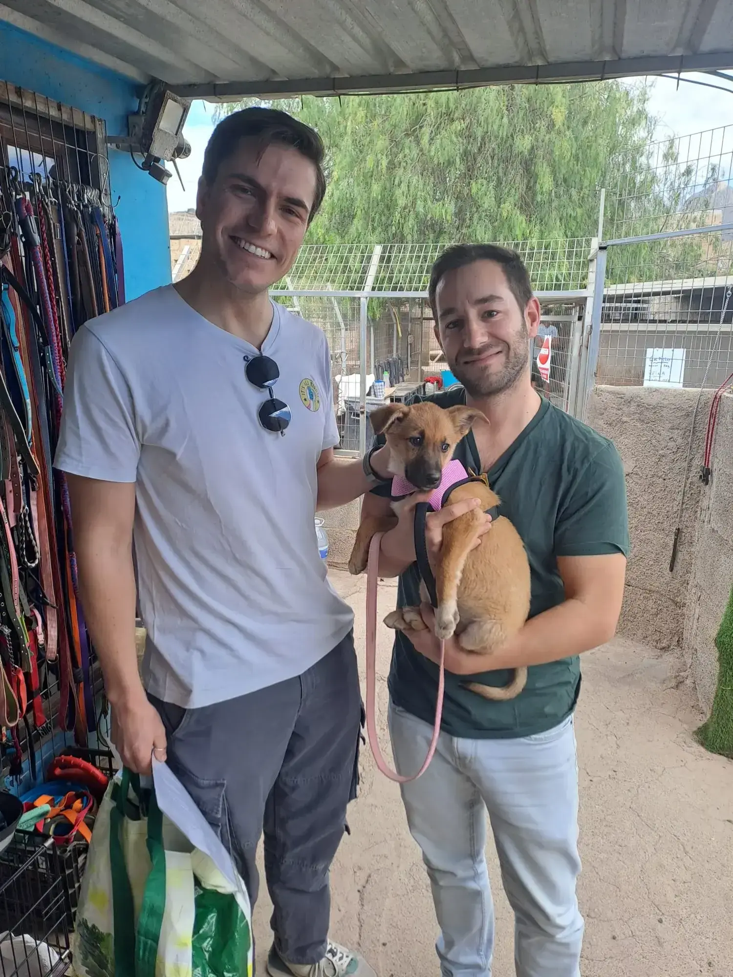 Katy adopted.