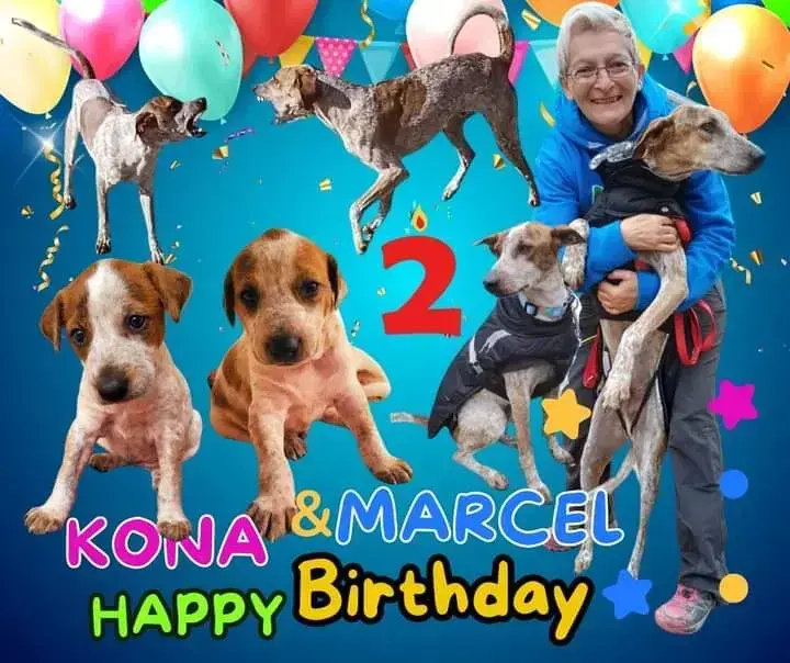 Happy birthday Kona,Marcel,Sole and Dakota .