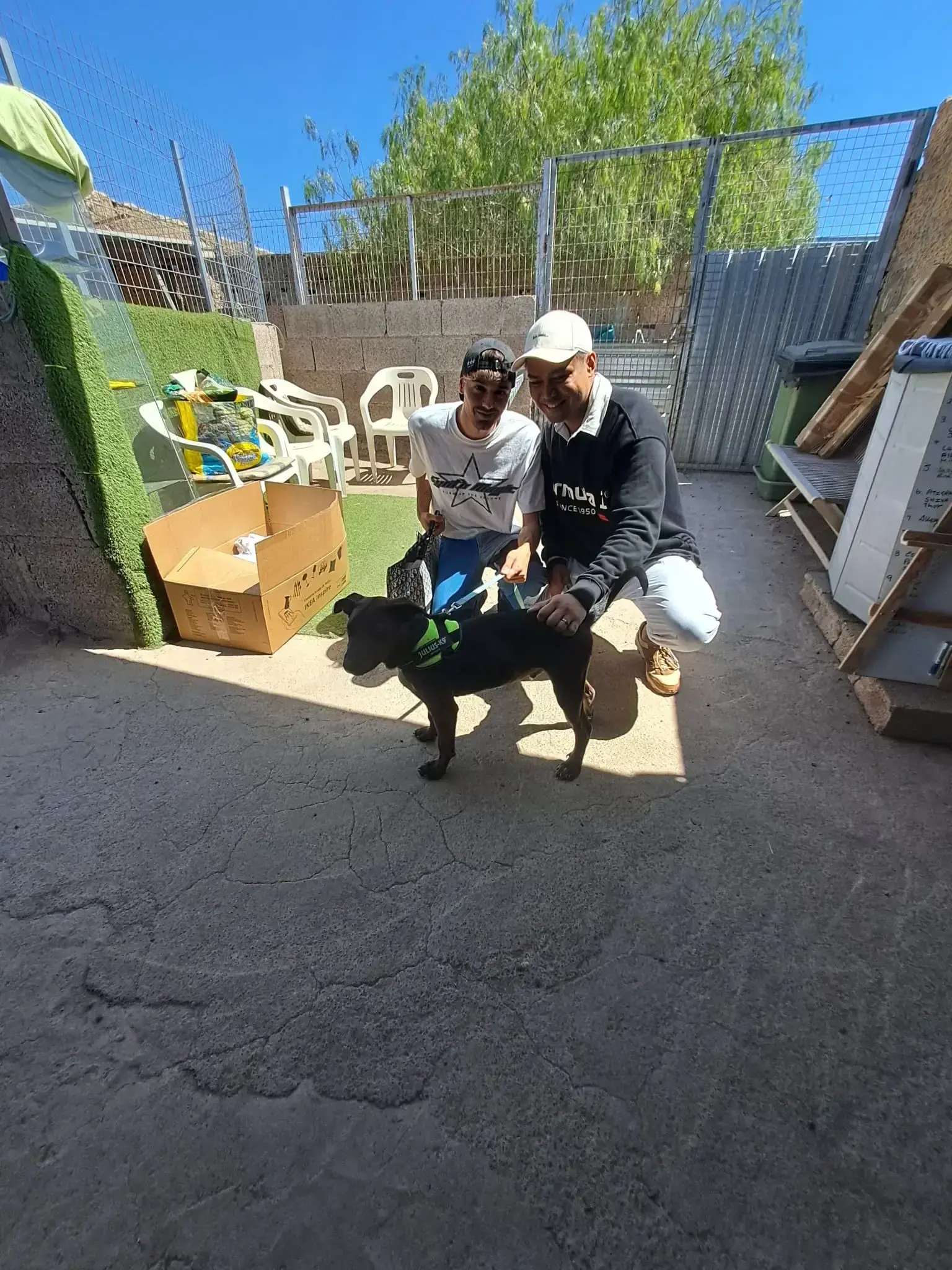 Charlie adopted