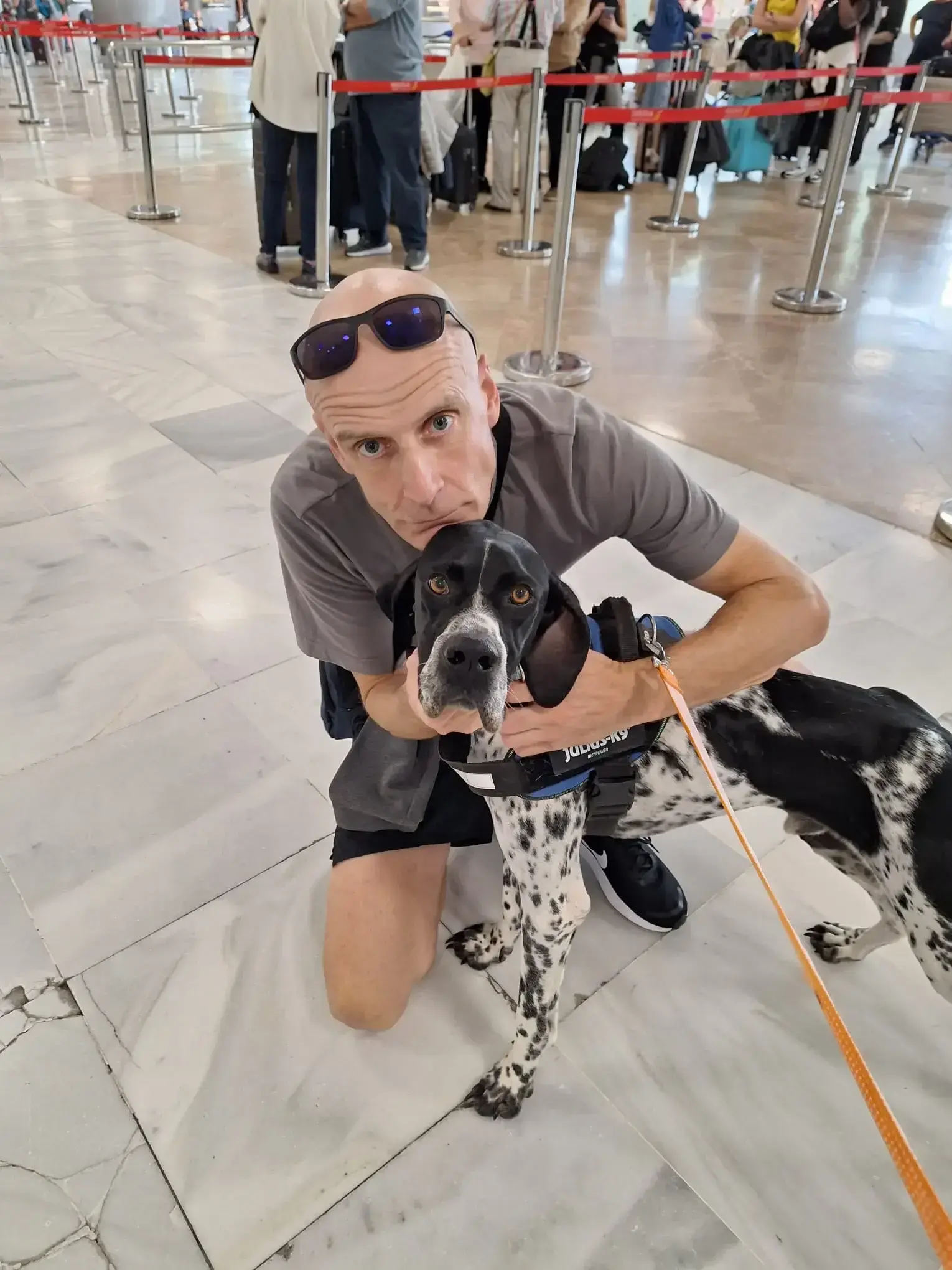 Olly adopted in Holland