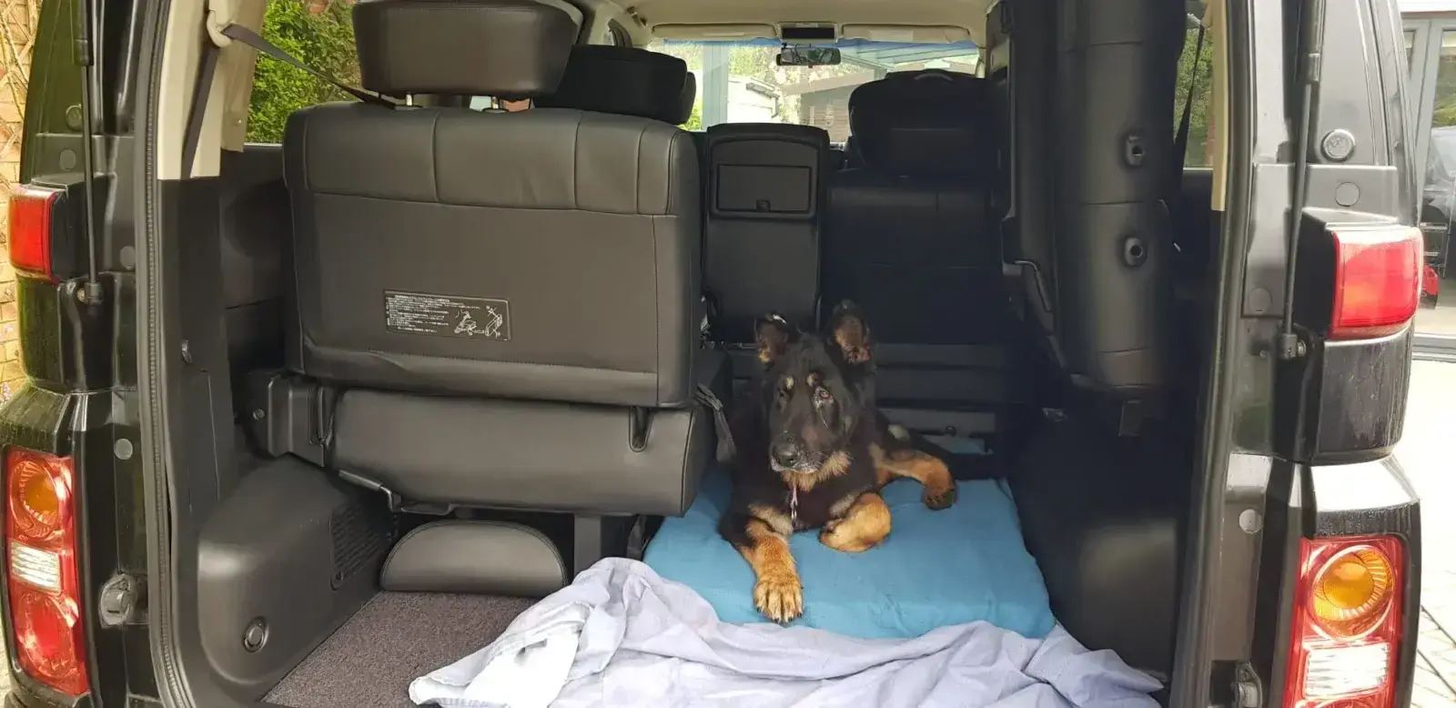 Rex arrives in UK
