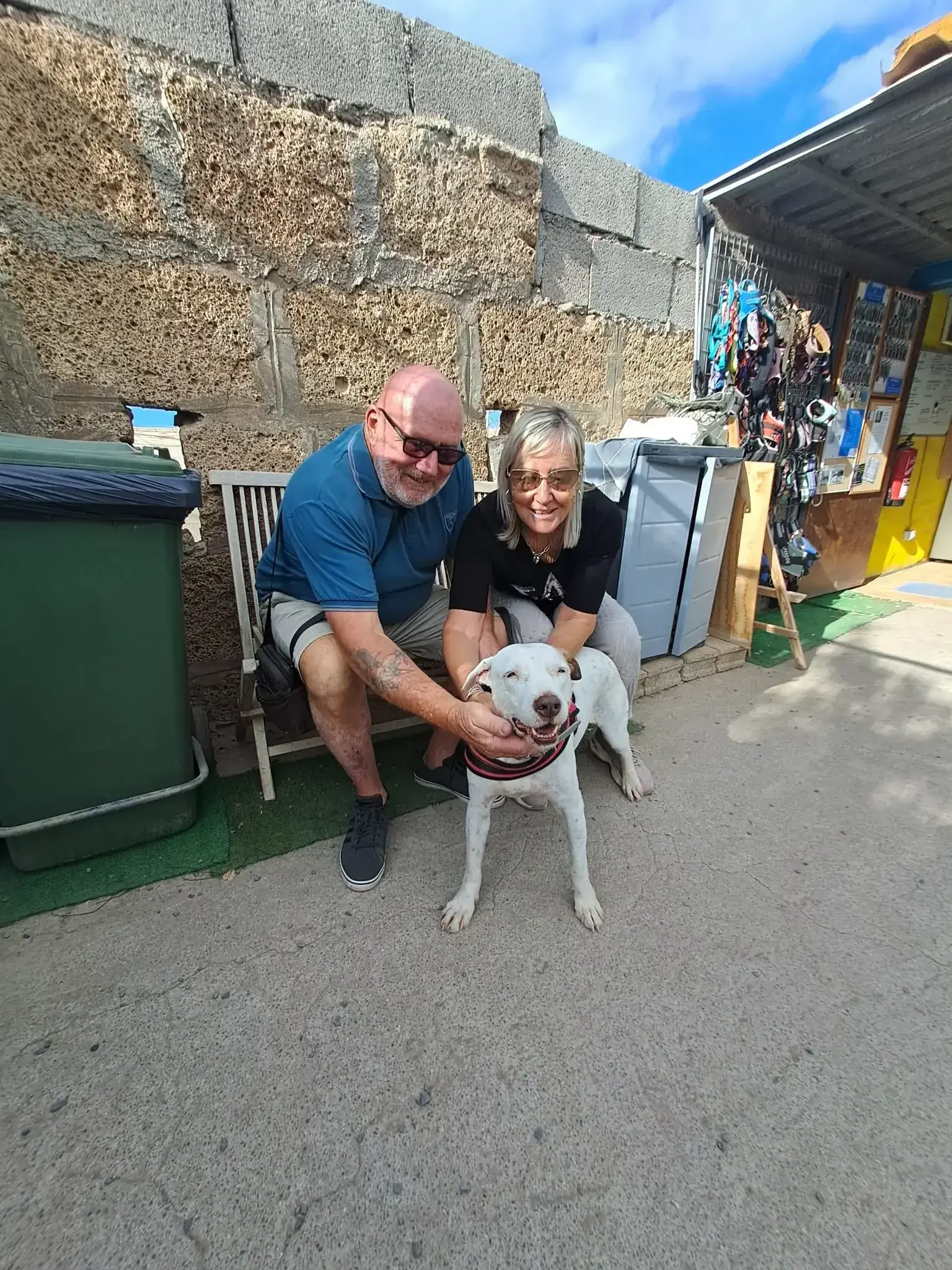 Estrella adopted .
