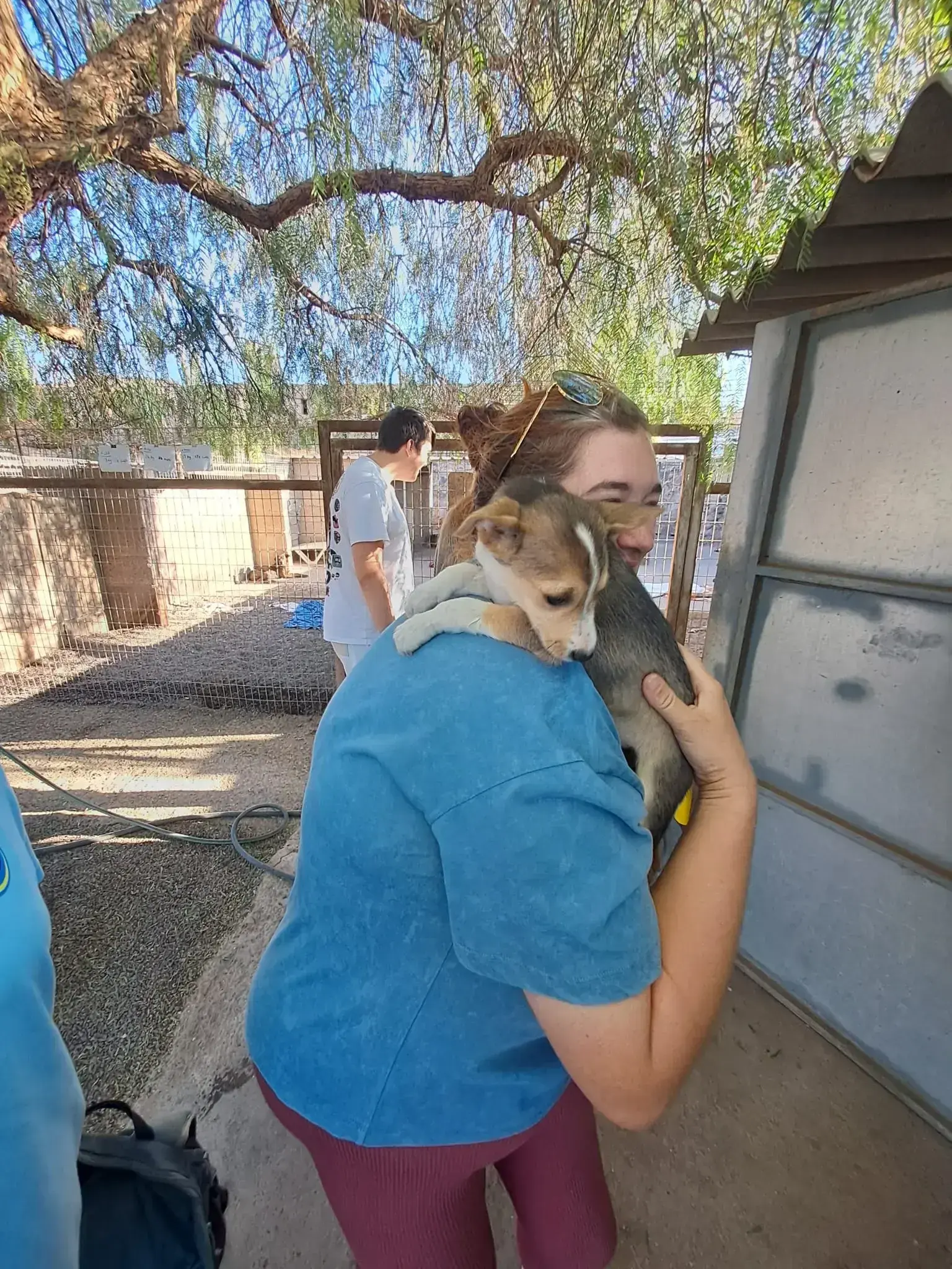 Two pups adopted , more are waiting.