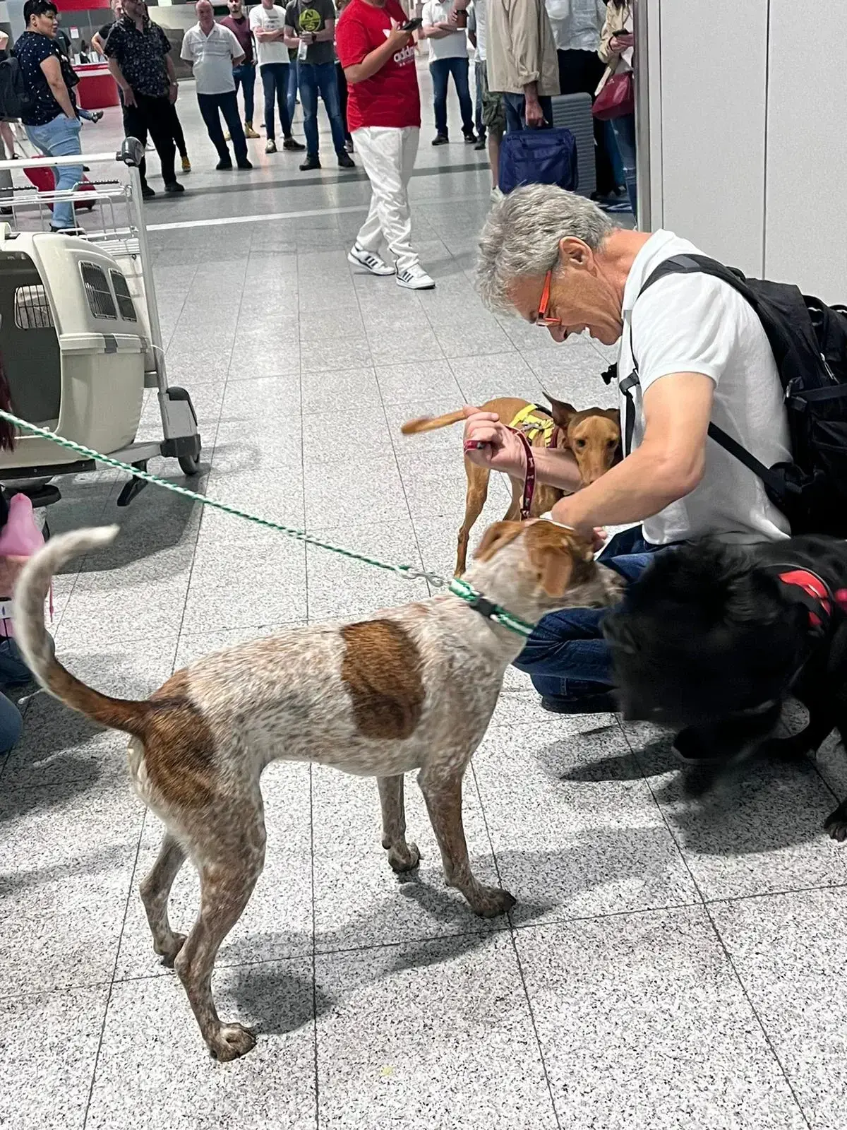 Cairo arrives in Italy