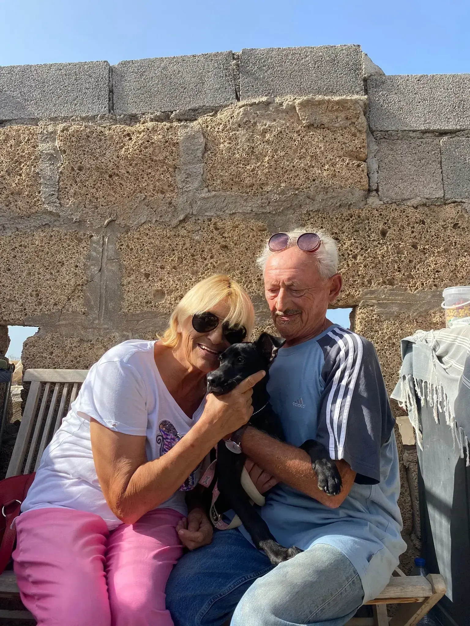 Cleo adopted.