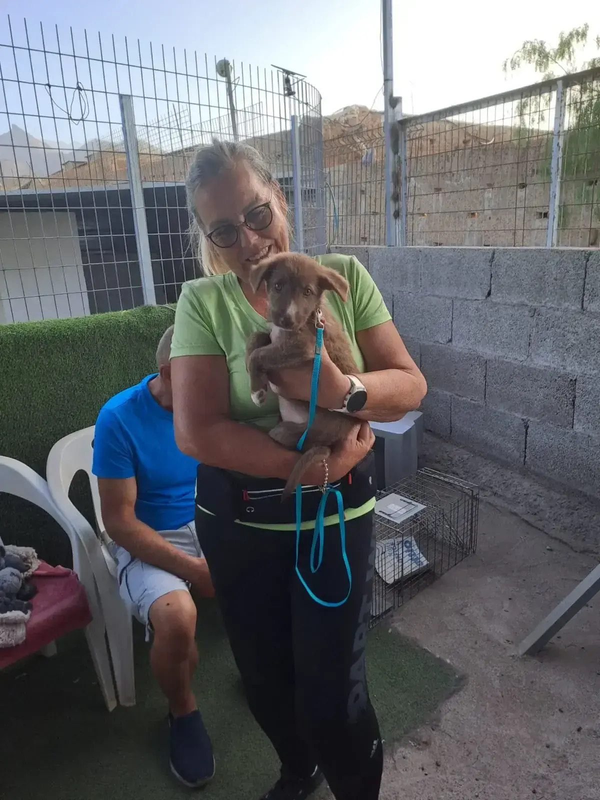 Peppa adopted . - Live Paws news, Tenerife dog rescue