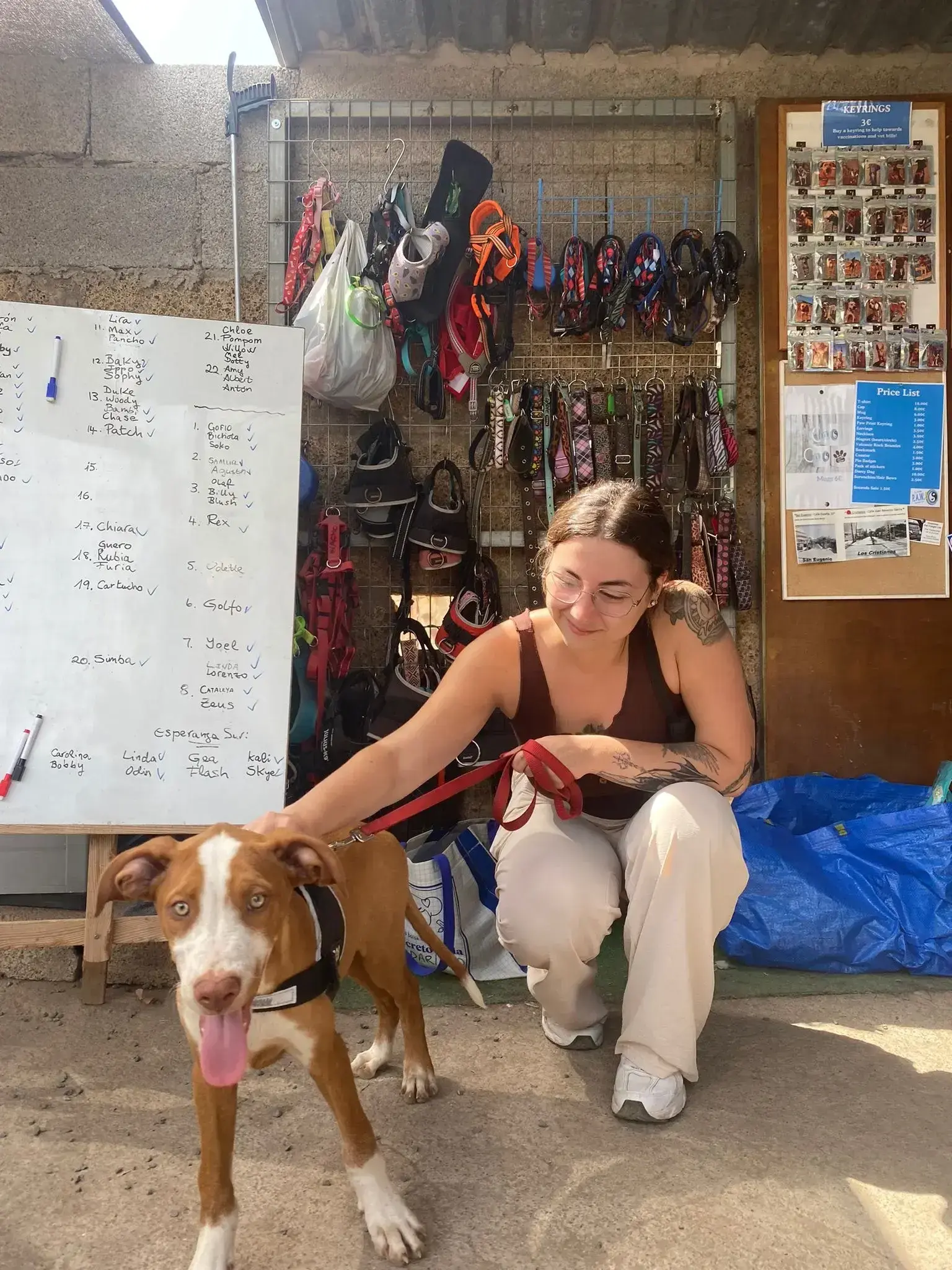 Blush adopted.