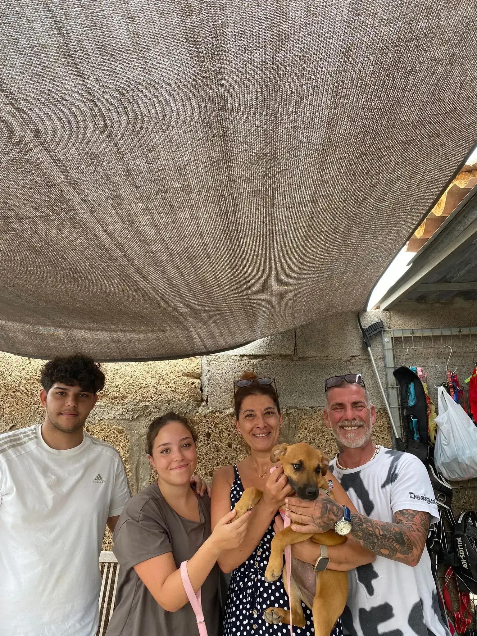 Ember adopted .
