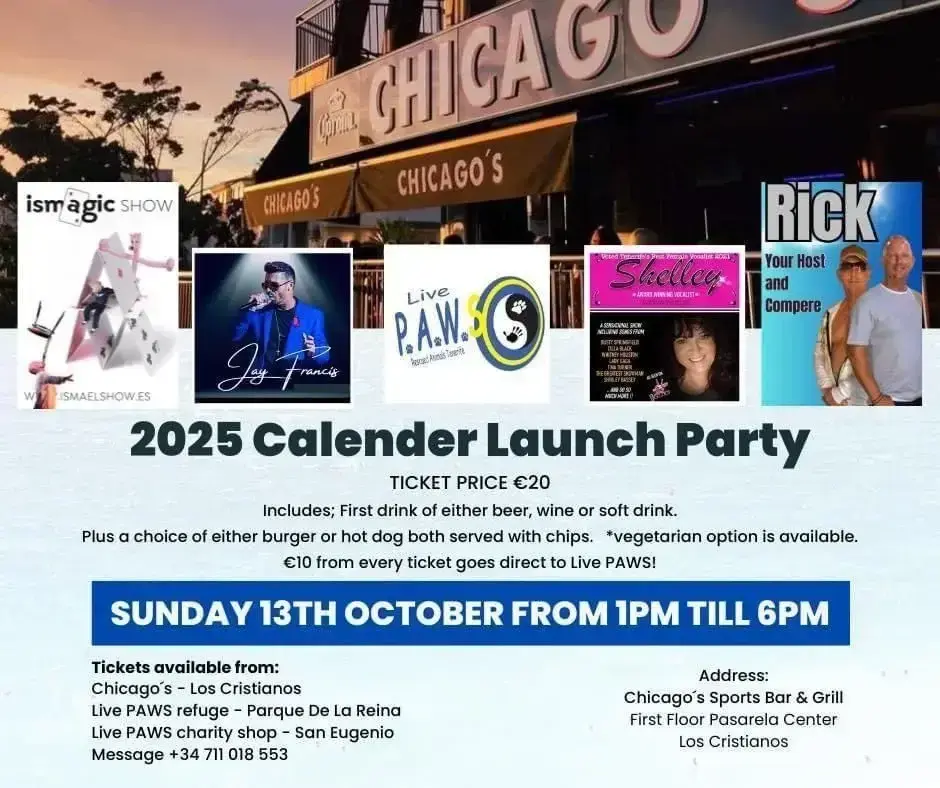 2025 calendar launch and entertainment