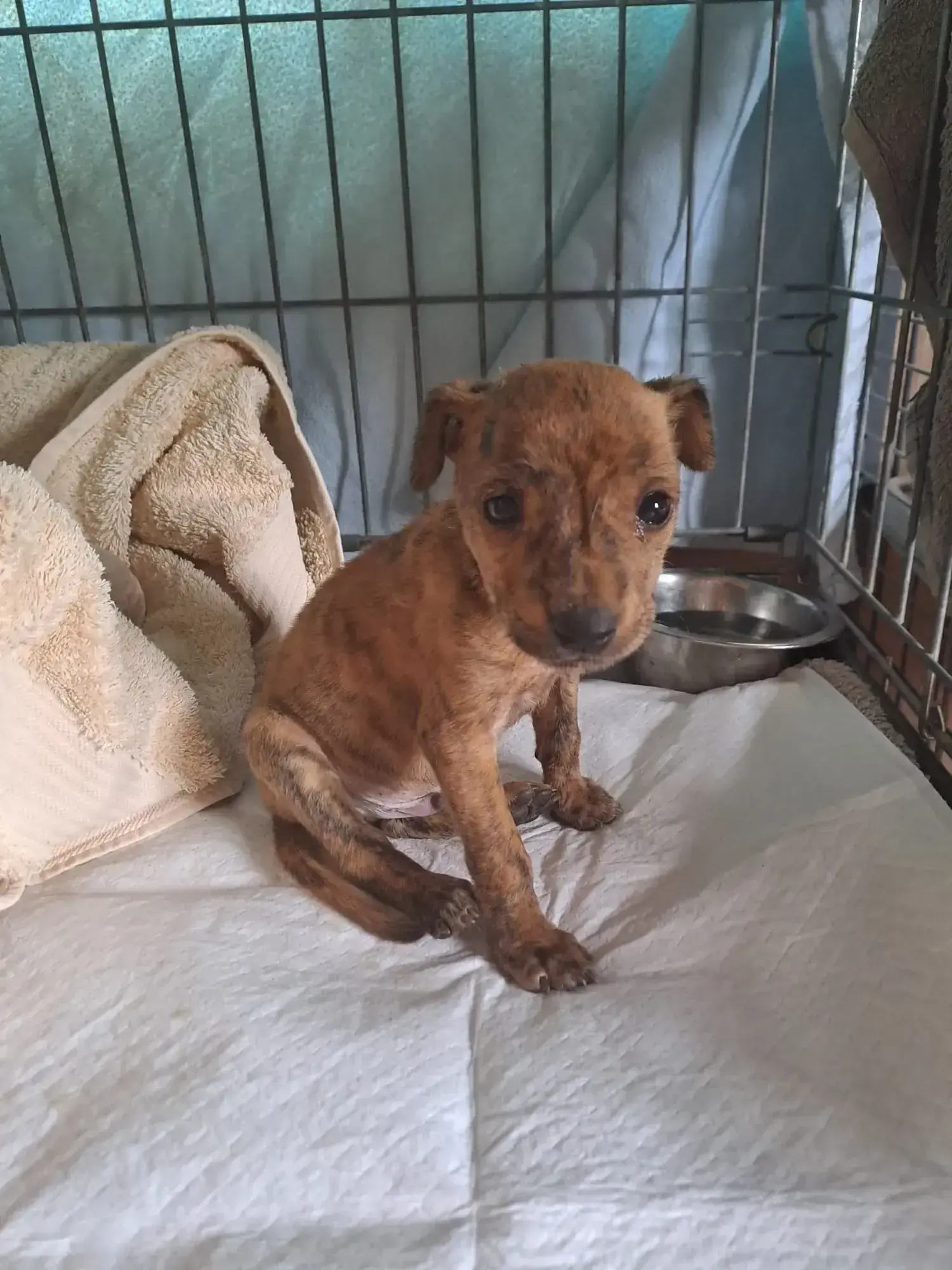 Little Eloy doing well.