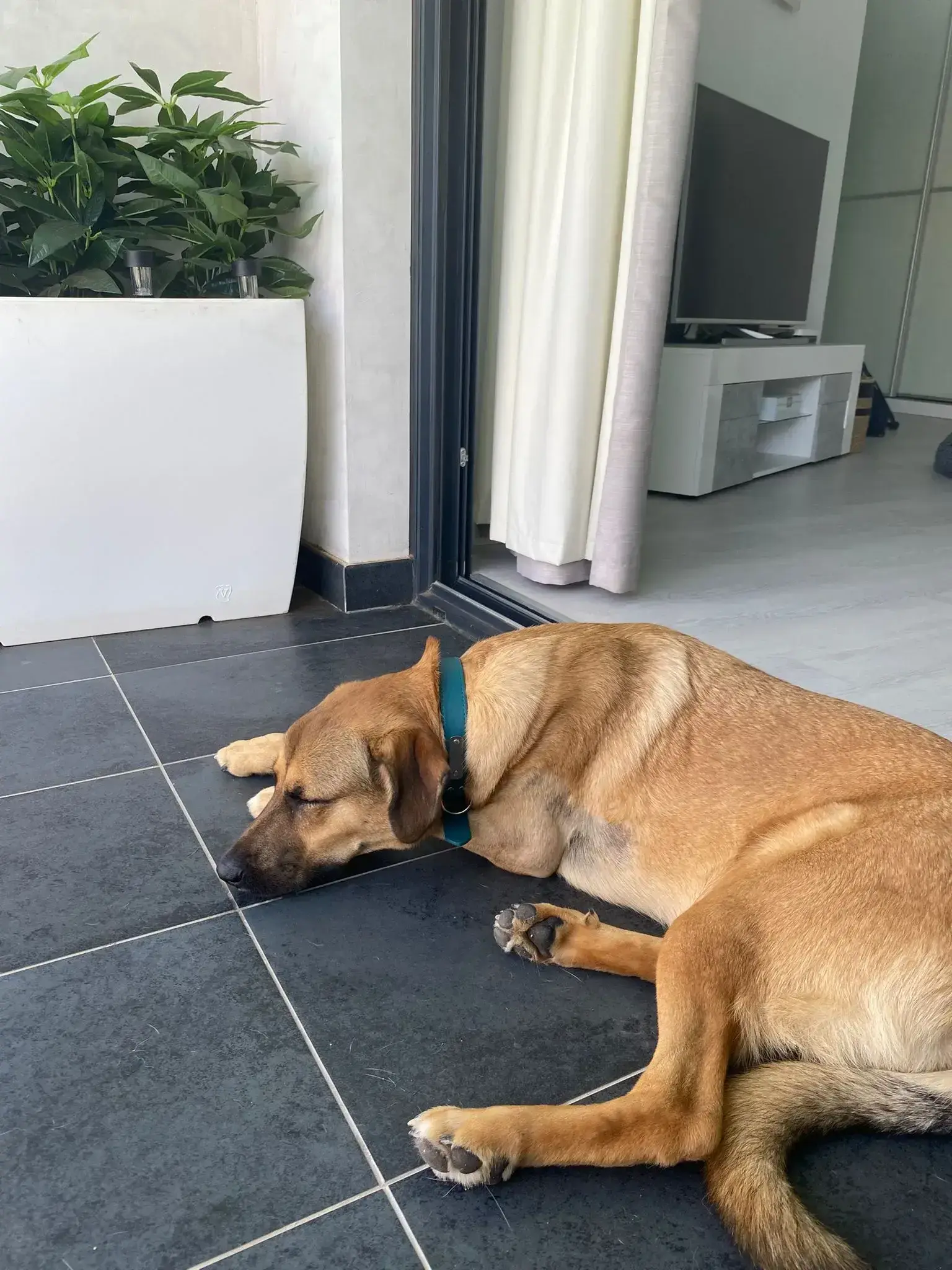 Morris update.