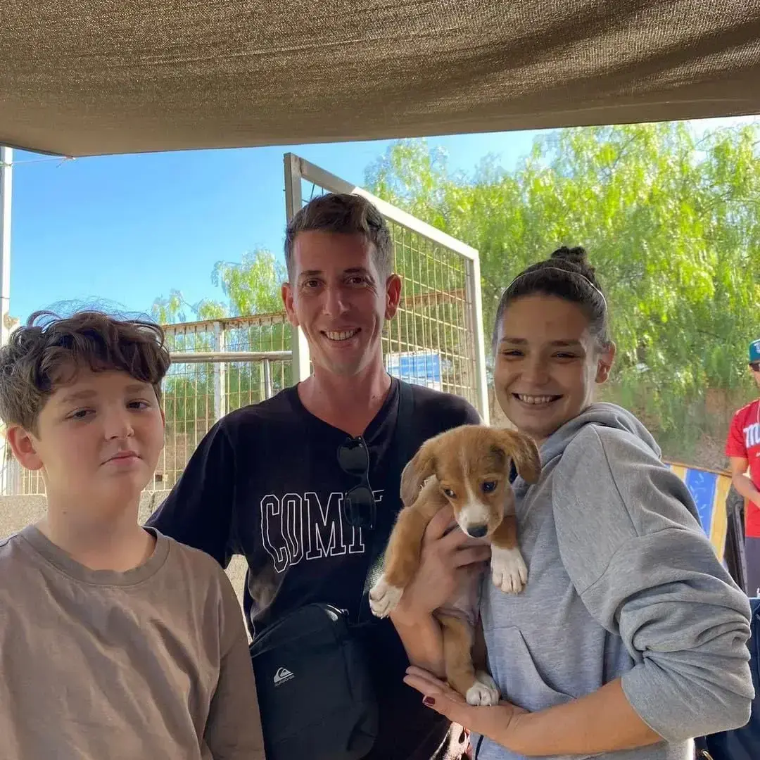 3 puppies adopted.