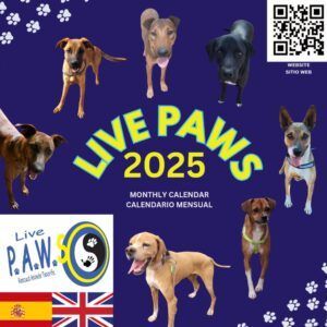 2024 Calendar