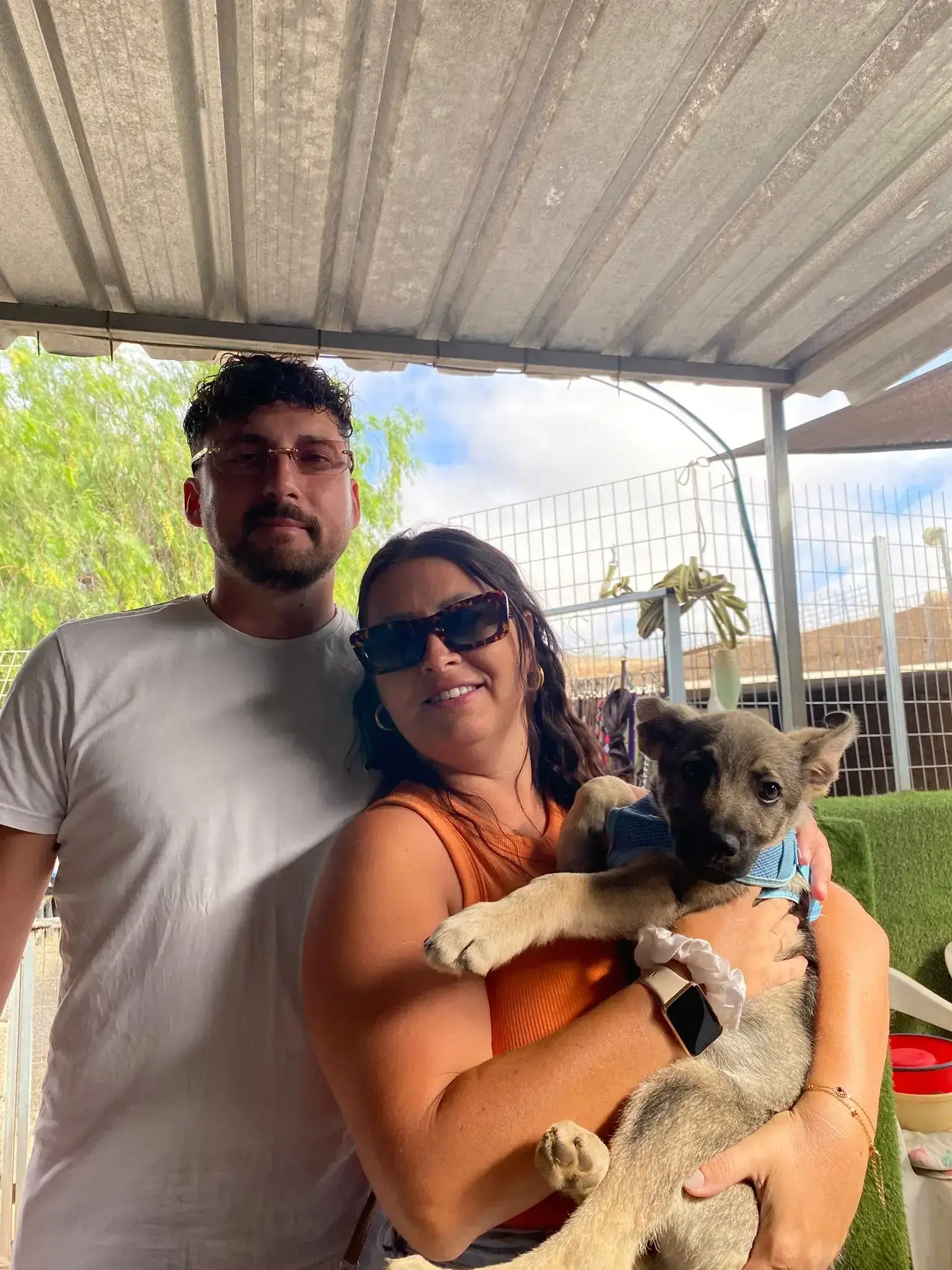 Ghost adopted today .