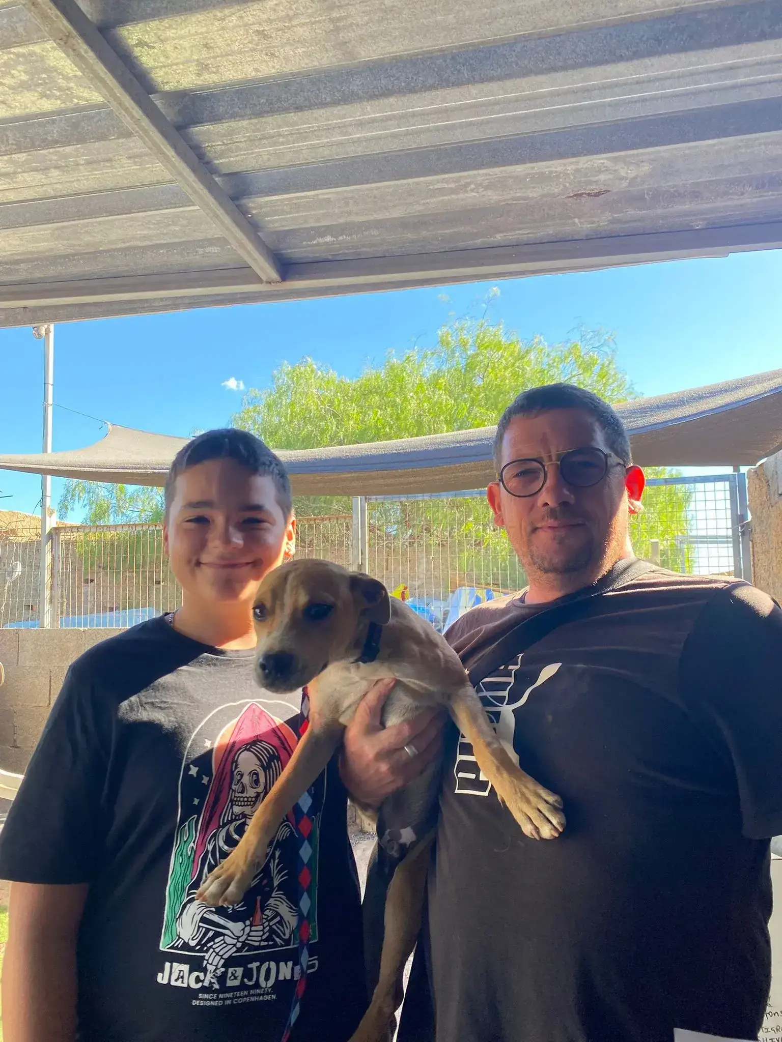 3 more pups adopted .