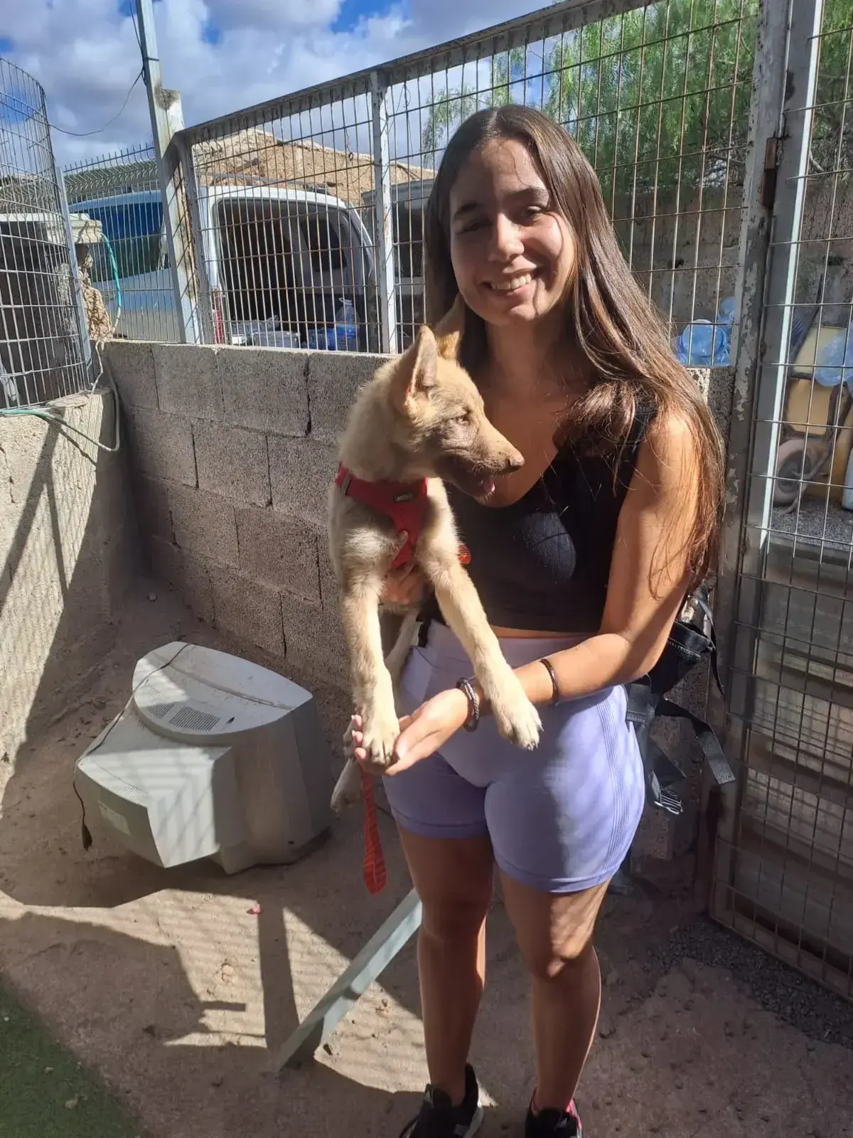 Summer adopted .