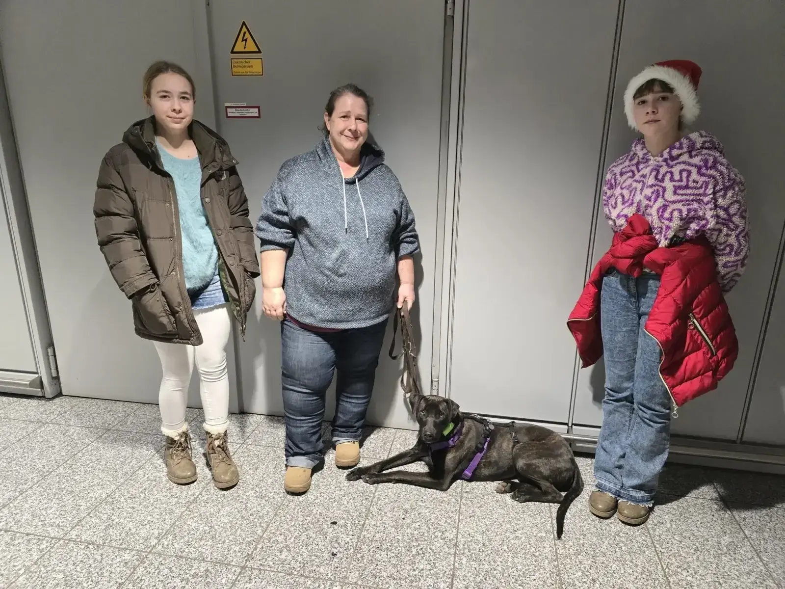 Soko arrives safely in Germany . - Live Paws news, Tenerife dog rescue