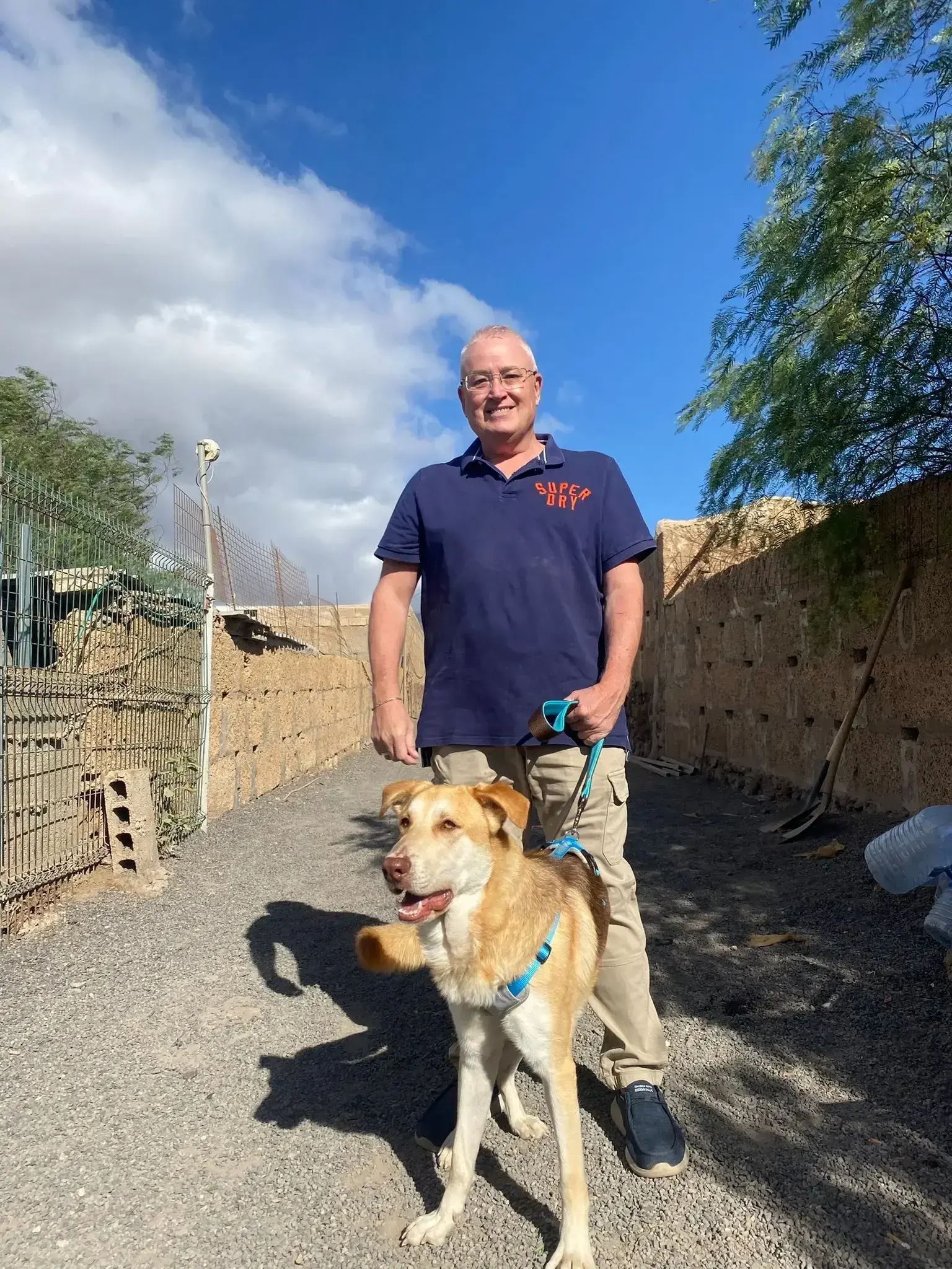 Chase adopted . - Live Paws news, Tenerife dog rescue