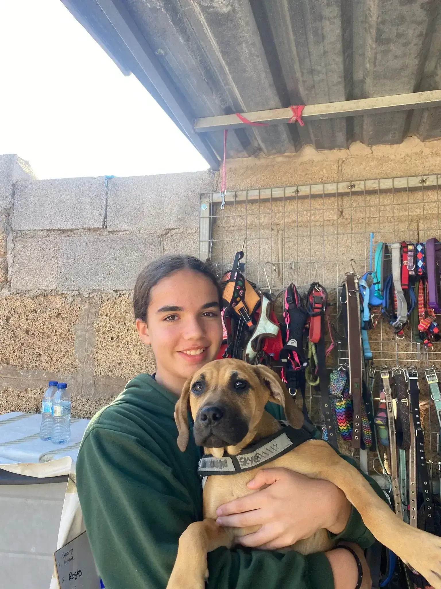 Noah and Jojo adopted.
