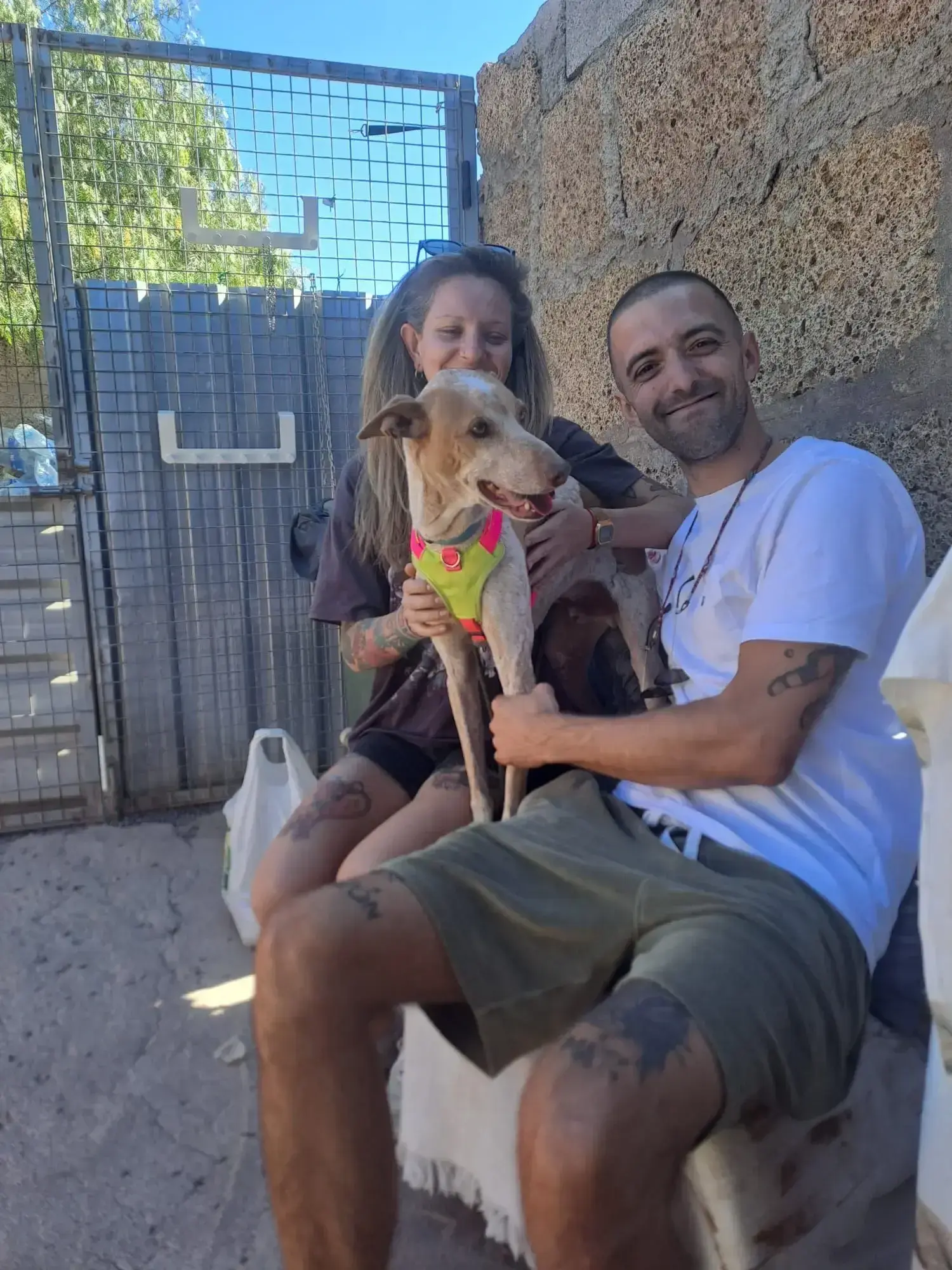 Ocho adopted