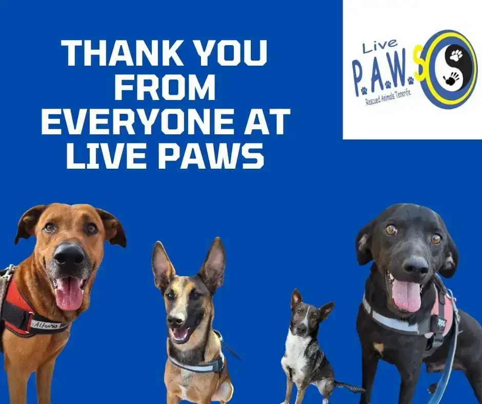 Thank you to our February sponsors.