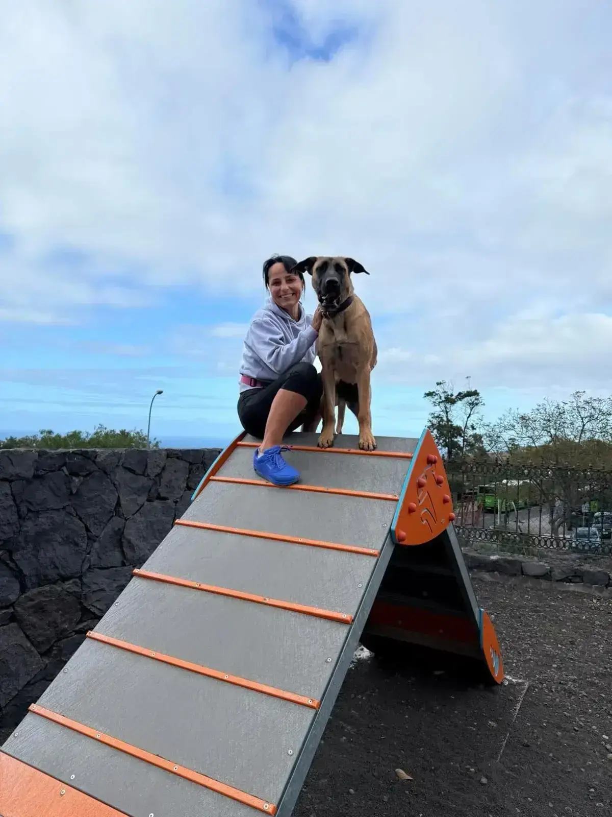 Skye loves agility training.