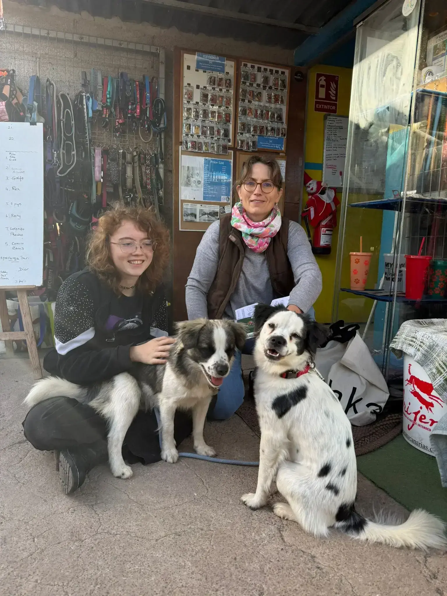 Kira and Rocky adopted. - Live Paws news, Tenerife dog rescue