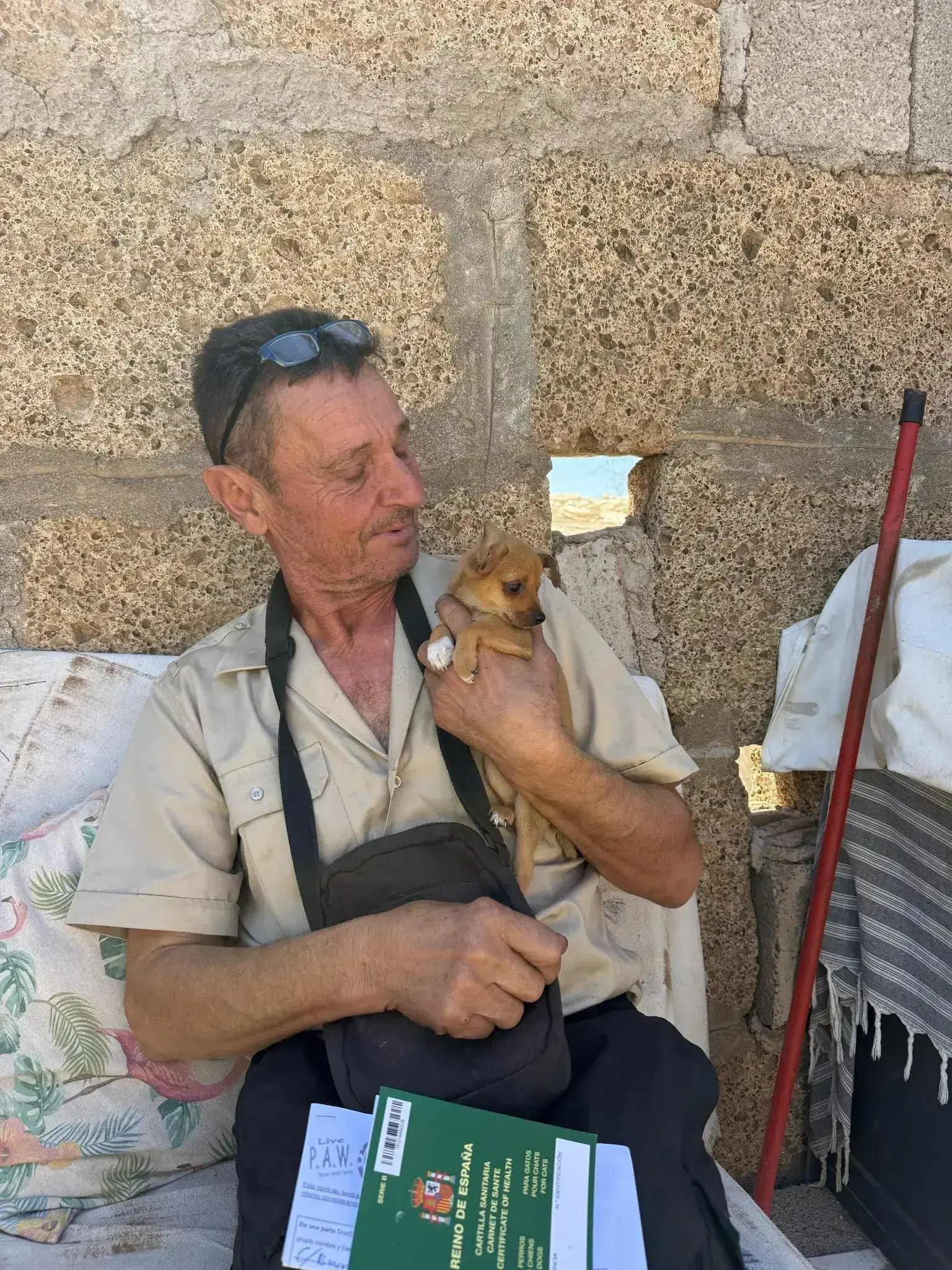 Mami’s pup adopted.