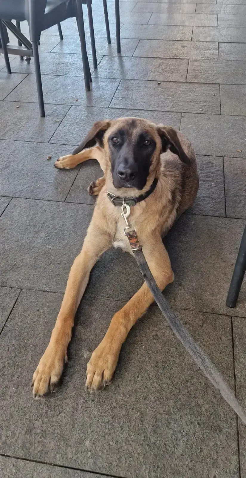 Skye growing up having the best life.