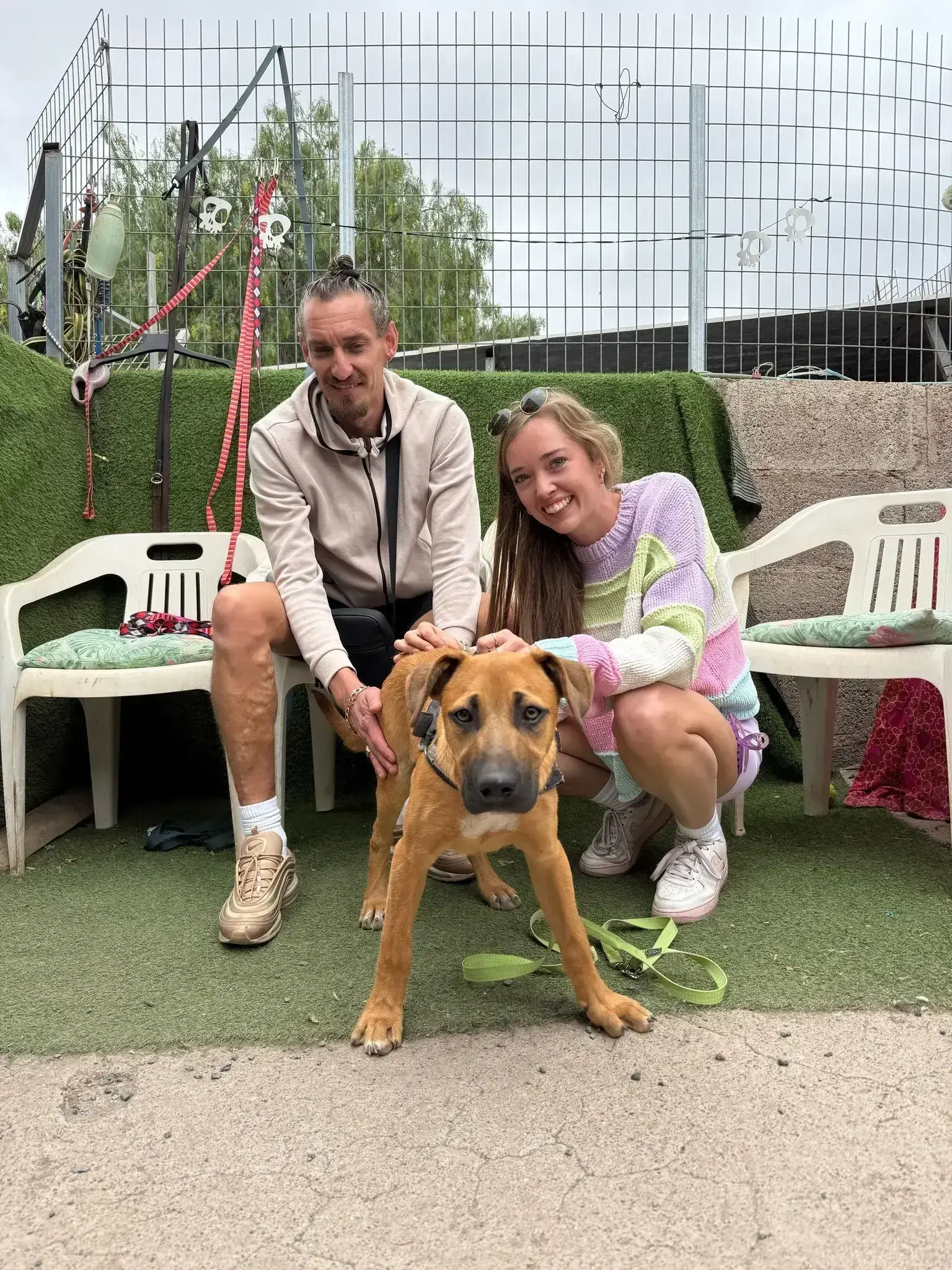Timon adopted.